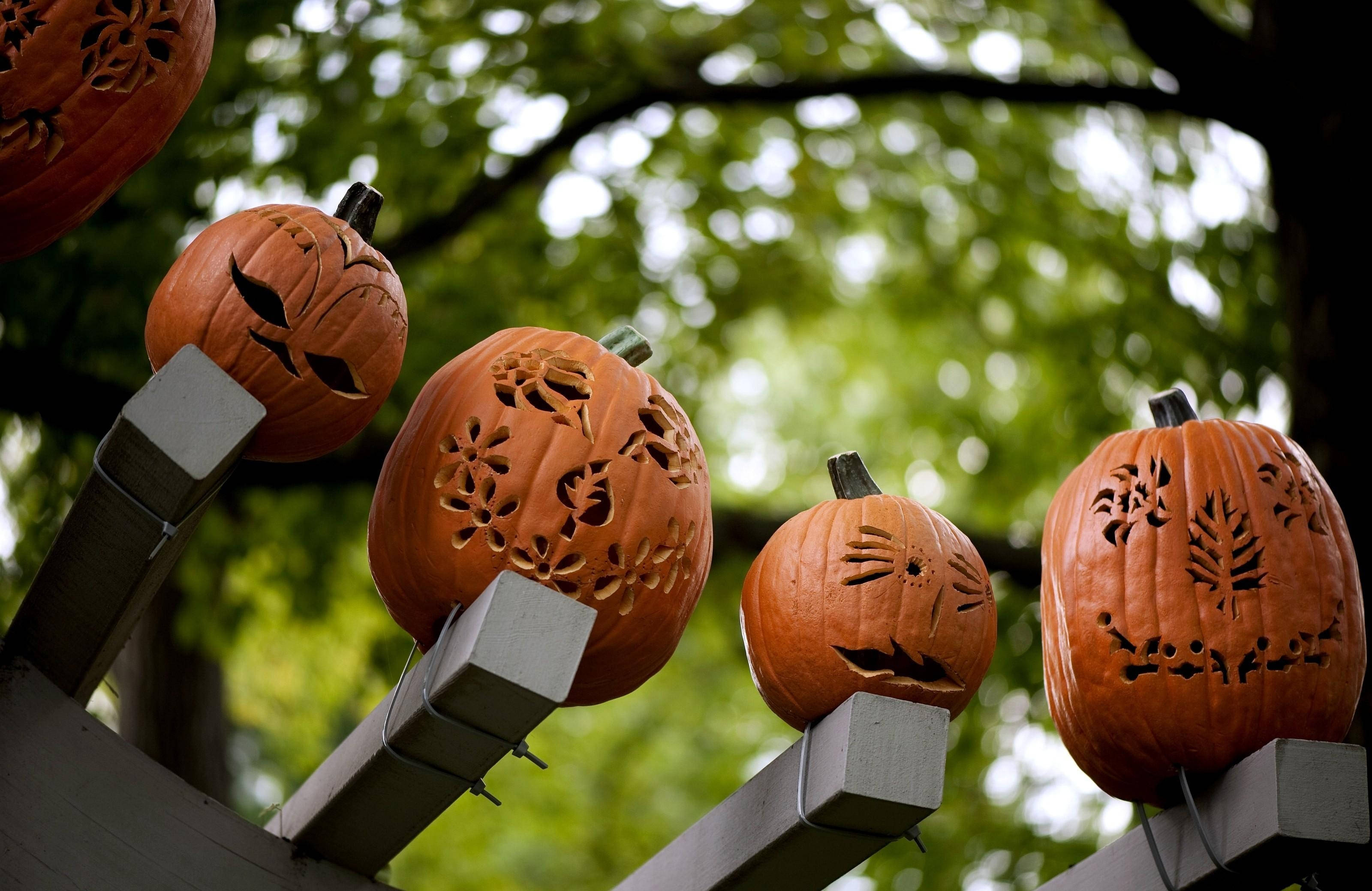 Maboga haya ya kutisha yataleta hofu kubwa wakati wa Halloween! Picha ya Ukuta