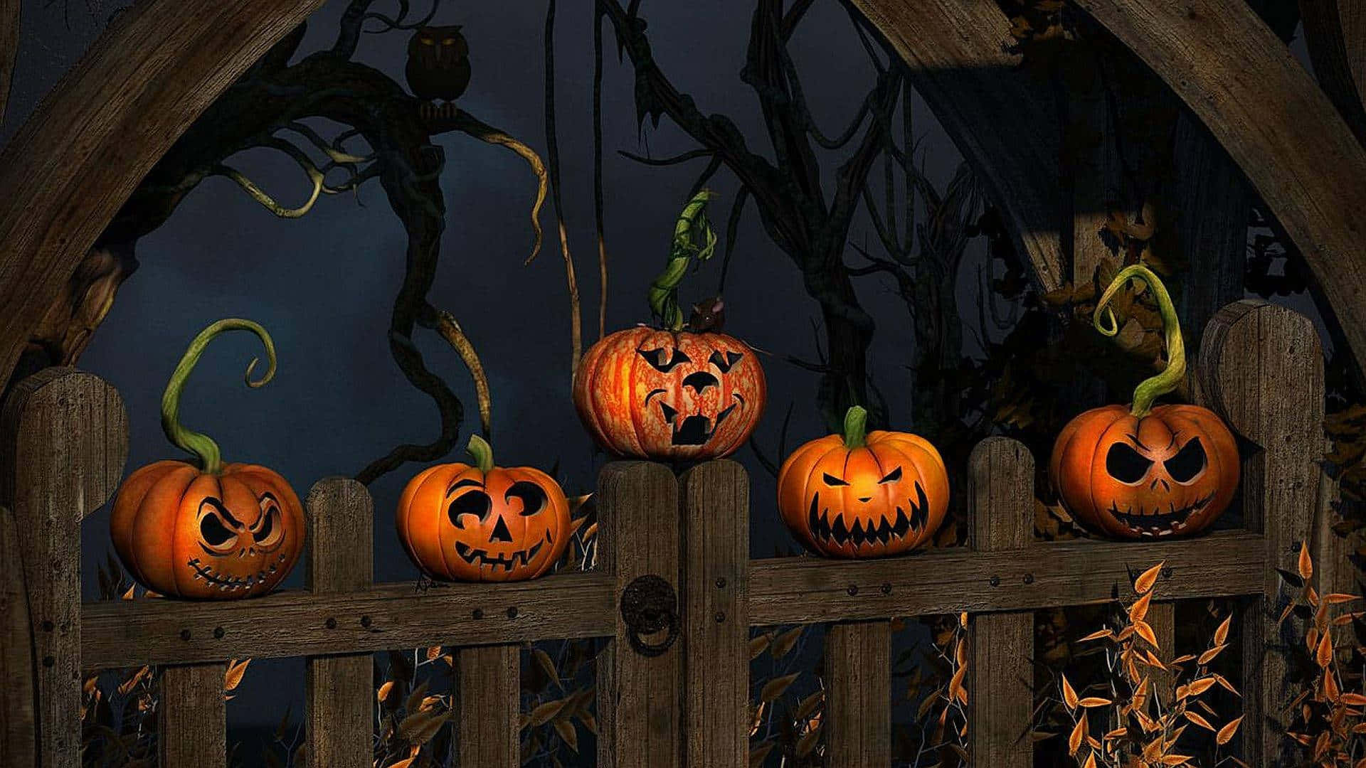 Maboga Mazuri ya Halloween Kwenye Uzio Picha ya Ukuta