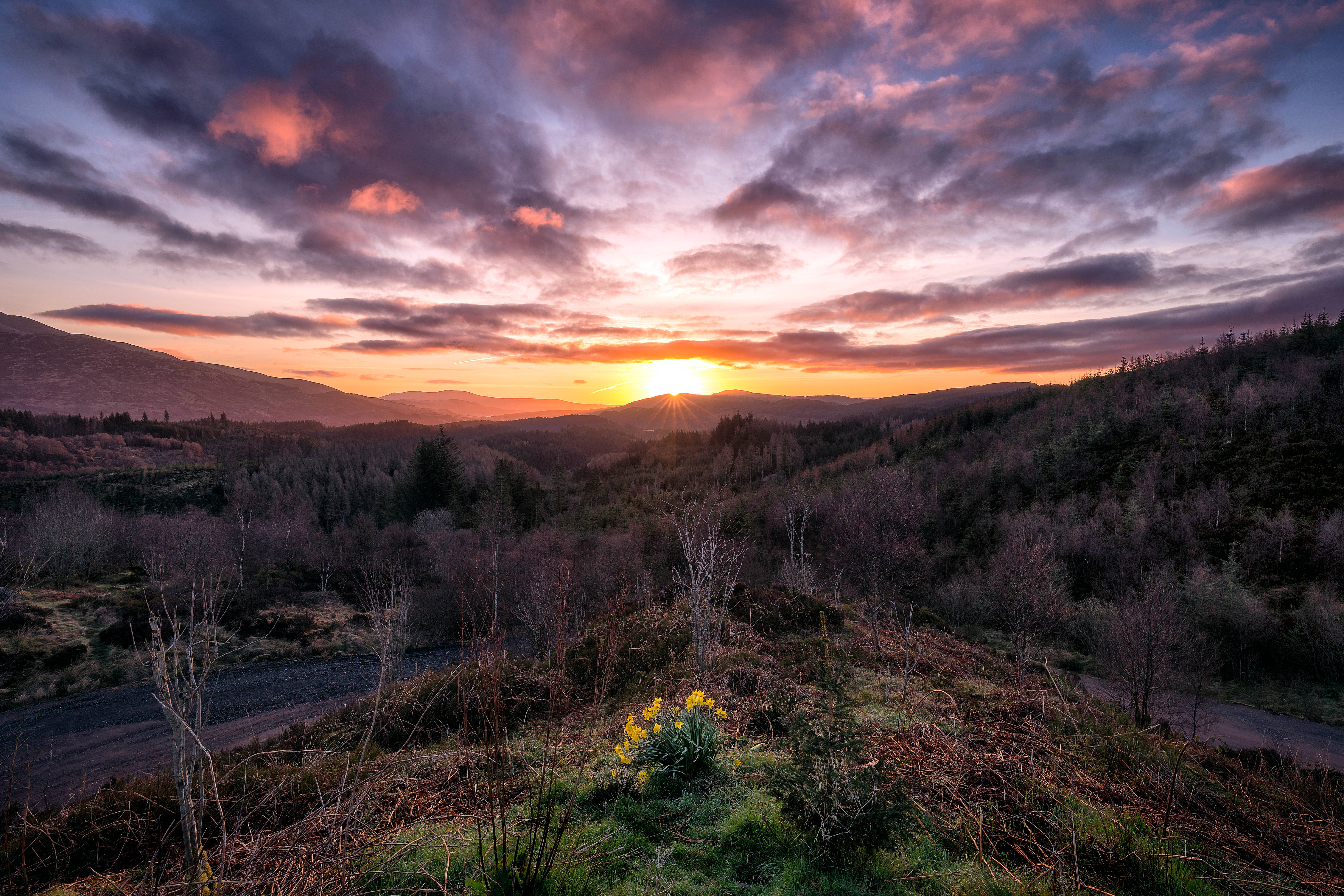 Macheo wa Enchanting wa Trossachs Park katika Scotland Picha ya Ukuta