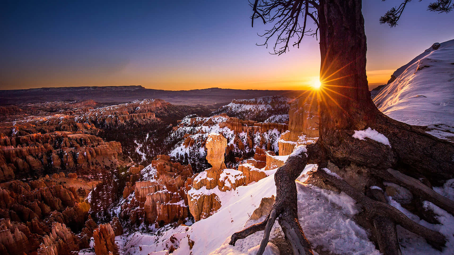 Macho ya Bryce Canyon National Park Kupitia Mti Picha ya Ukuta