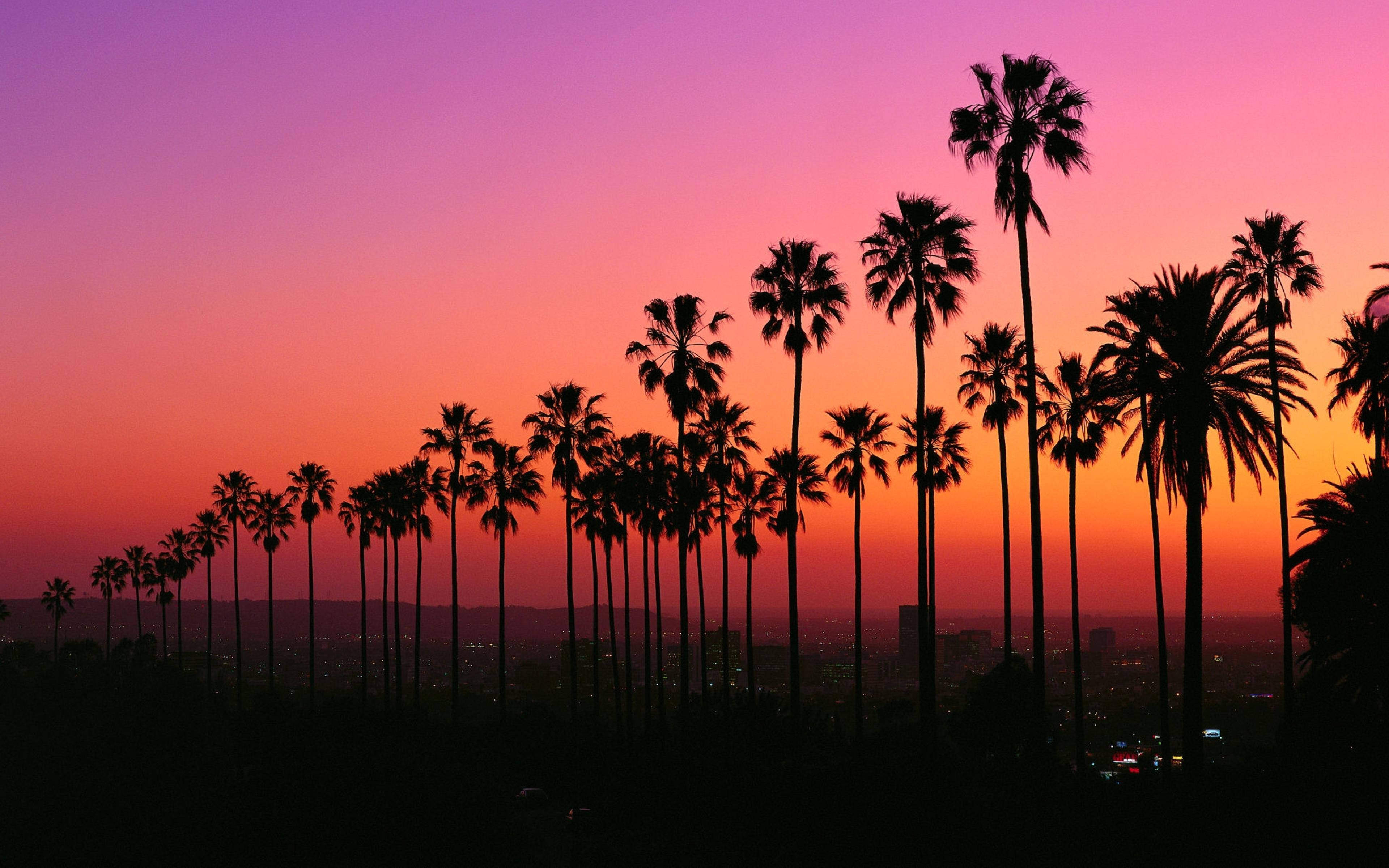 Macho ya Jua la Los Angeles Picha ya Ukuta