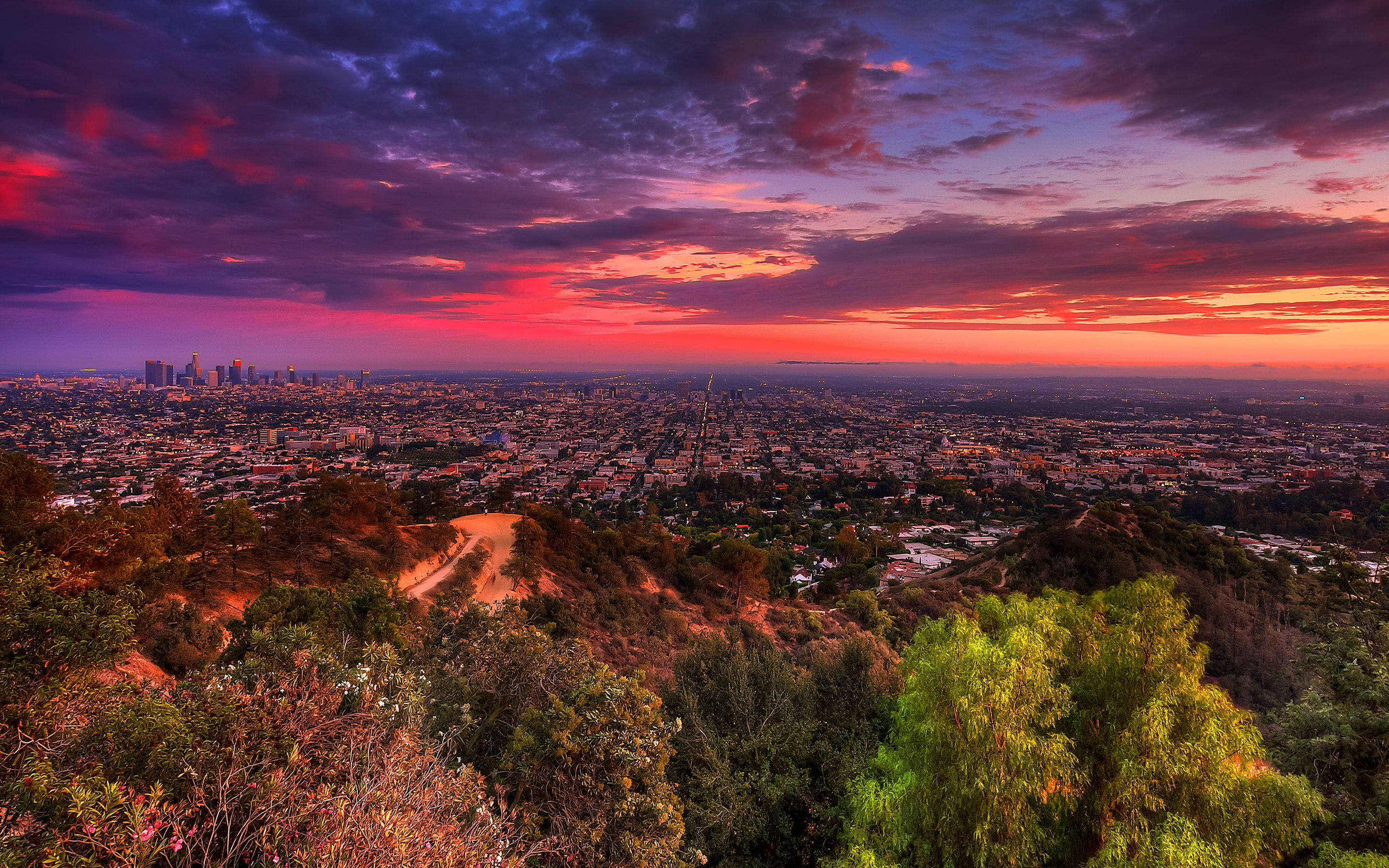 Macho ya Jua ya Los Angeles Yenye Uzuri Picha ya Ukuta