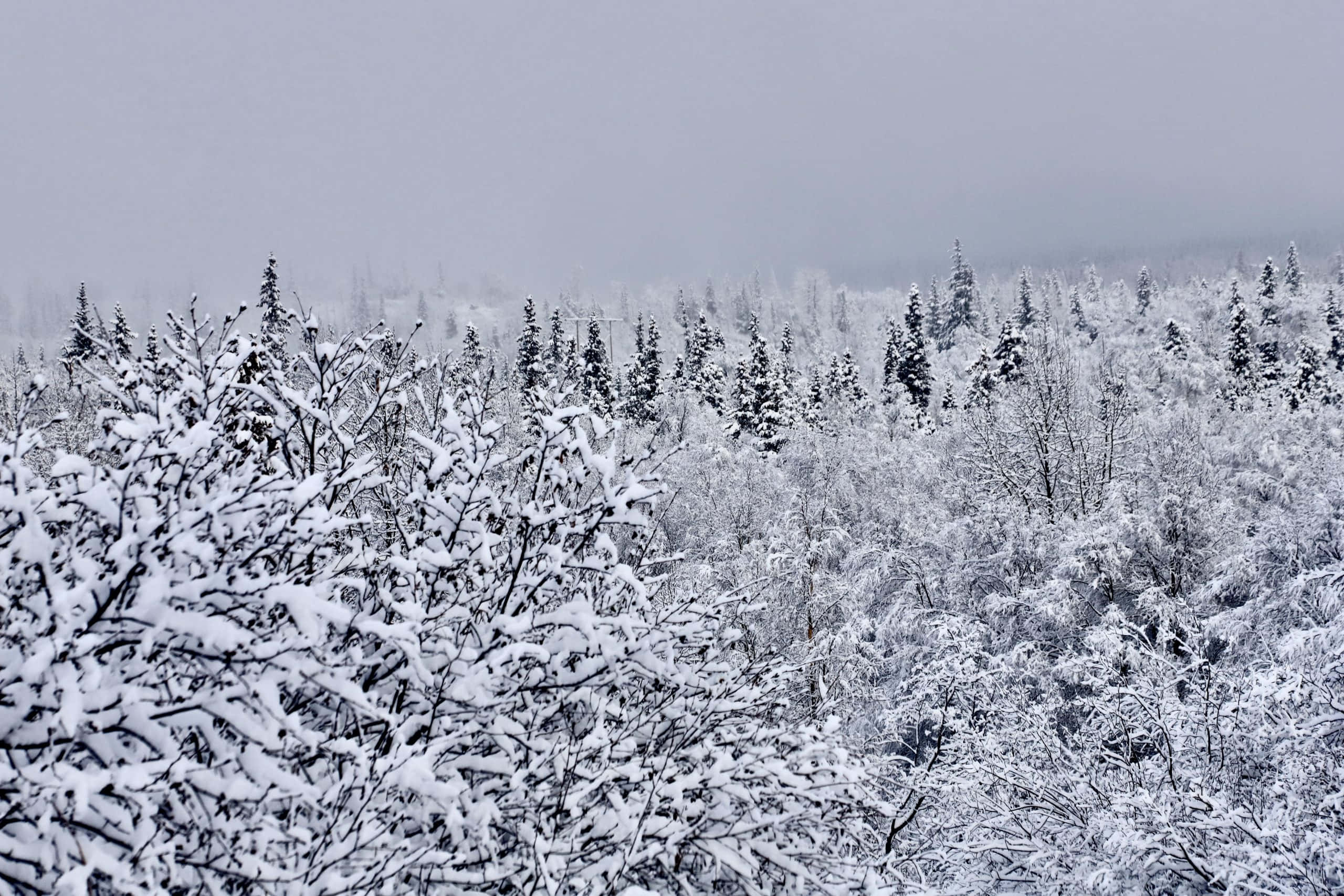 Maelezo: Mandhari ya Anchorage, Alaska Picha ya Ukuta
