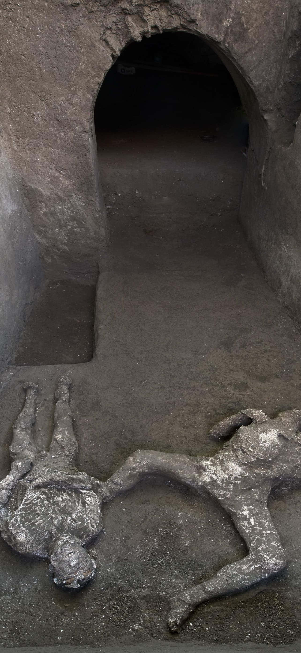 Maiti za Binadamu Zilizofukua Pompeii Picha ya Ukuta