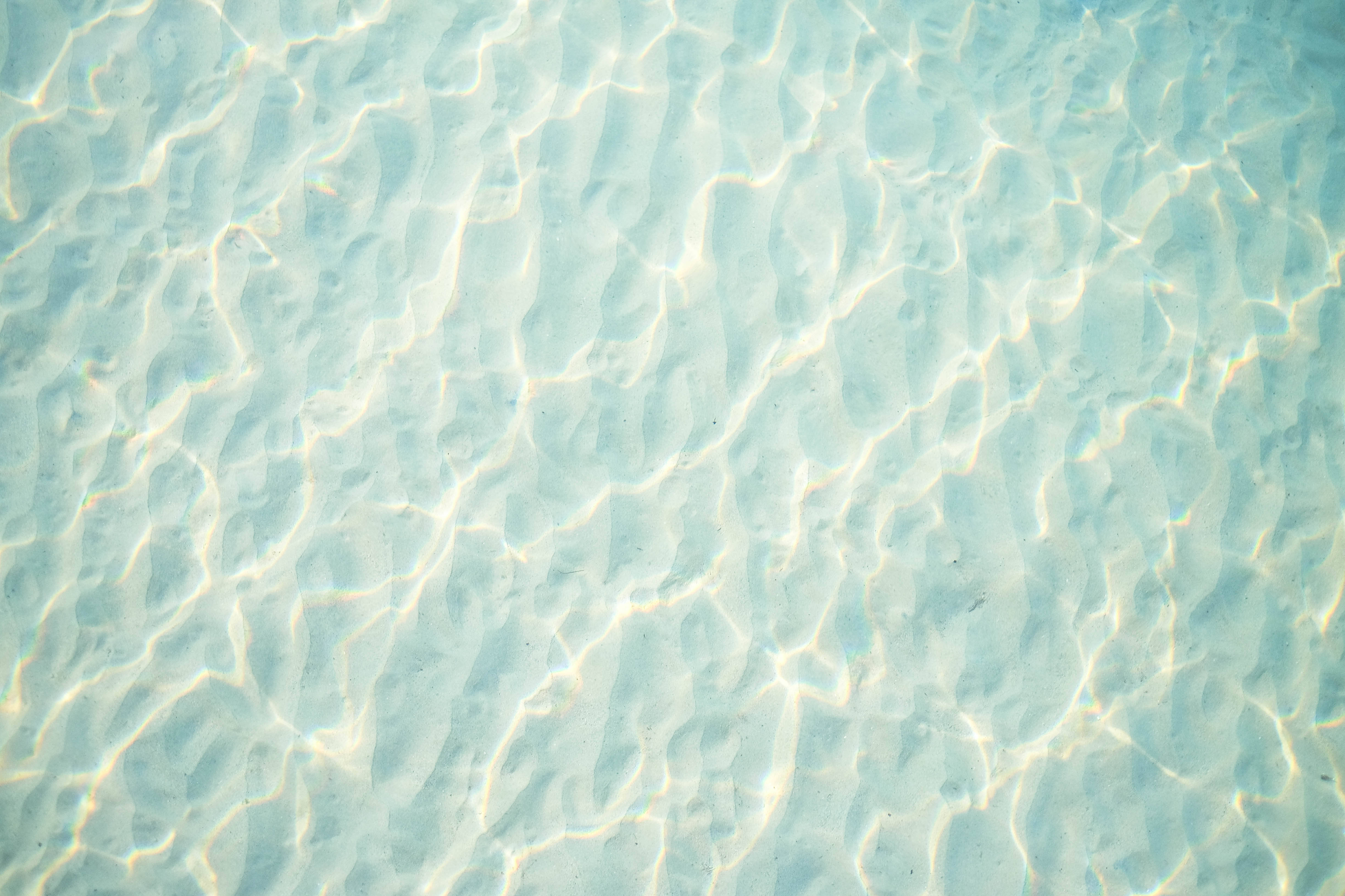 Majani ya Buluu ya Pastel Aesthetic Picha ya Ukuta