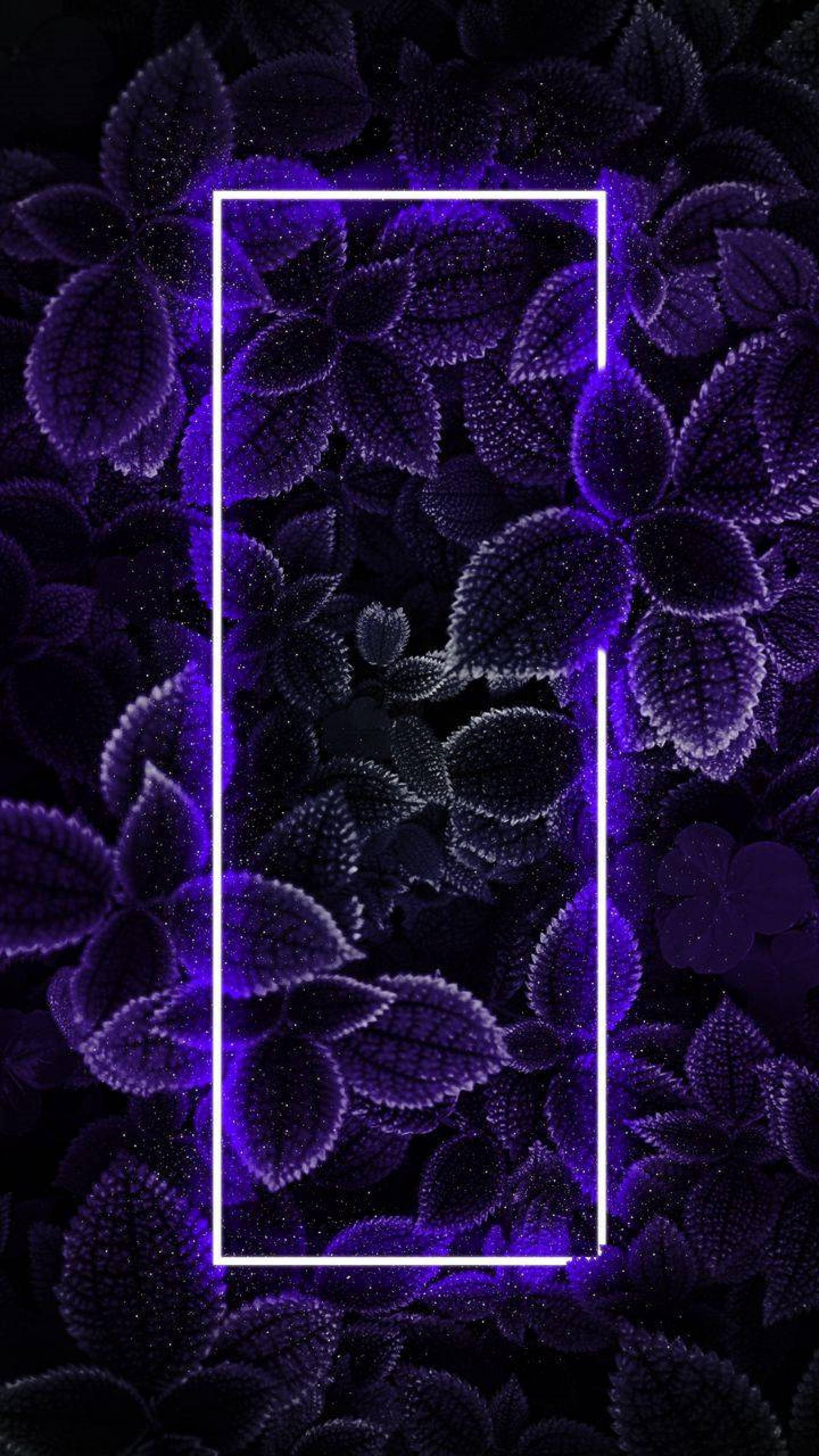 Majani ya iPhone yenye Mwanga wa Neon 4K Picha ya Ukuta