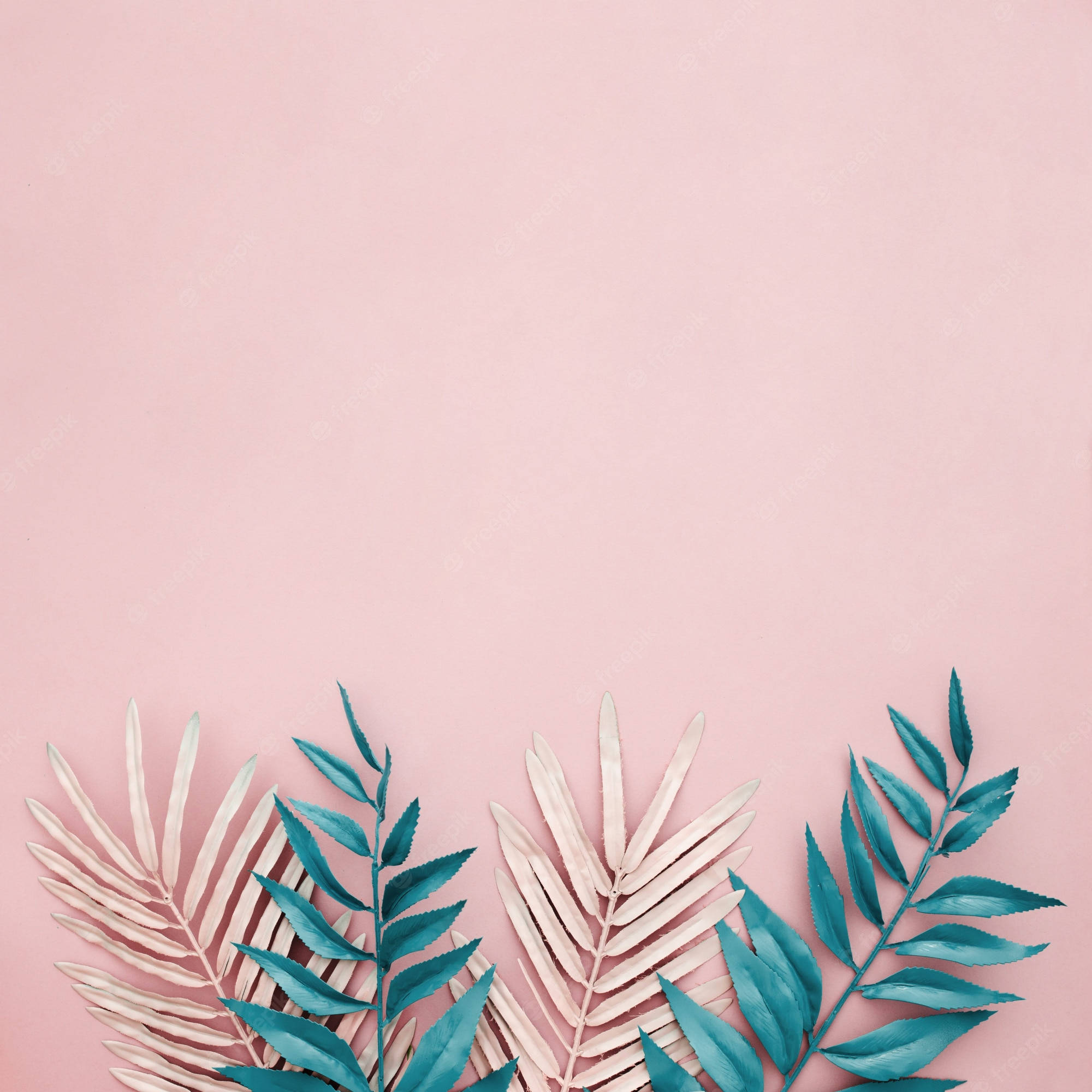 Majani ya Tropiki kwenye Mandhari ya Pink Pastel Picha ya Ukuta