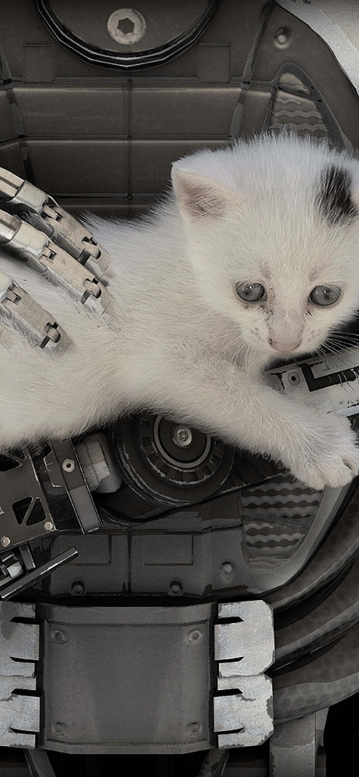 Majestic World of The Talos Principle on iPhone XS Max Picha ya Ukuta