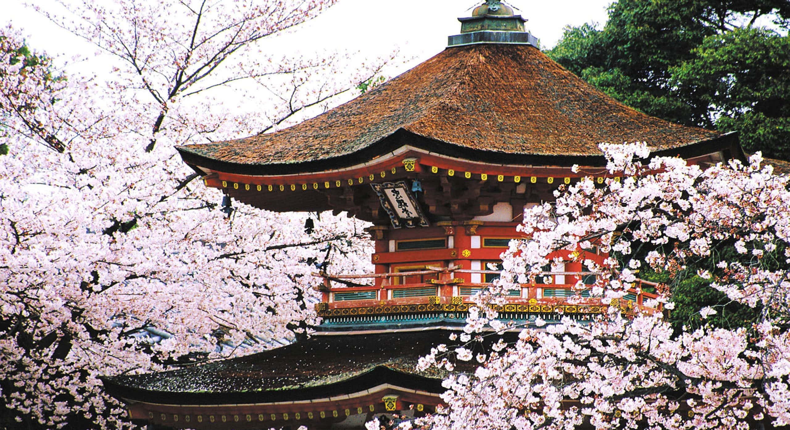 Mandhari mazuri ya Ziwa Emerald, Hokkaido, Japani Picha ya Ukuta
