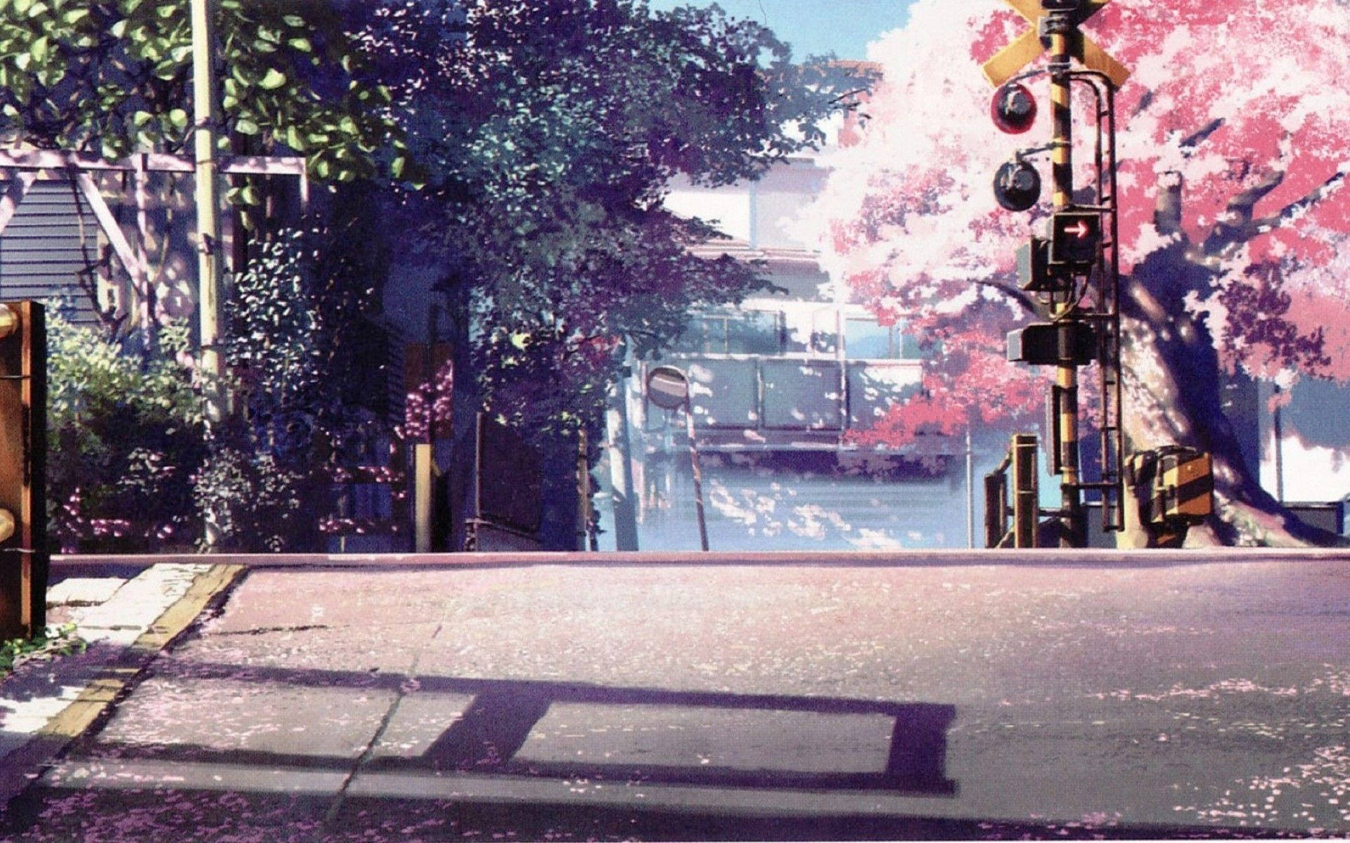 Mandhari ya Anime Maua ya Cherry Picha ya Ukuta