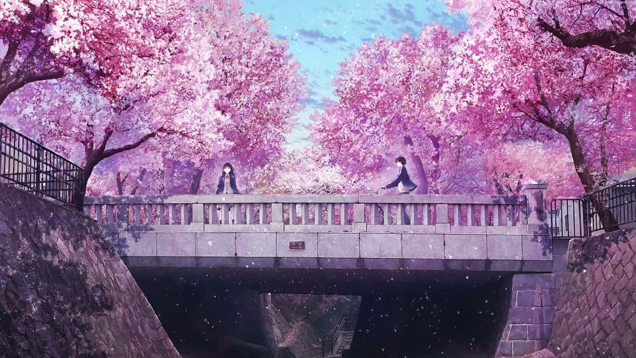 Mandhari ya Anime ya Maua ya Cherry Msichana Amesimama Kwenye Daraja Picha ya Ukuta