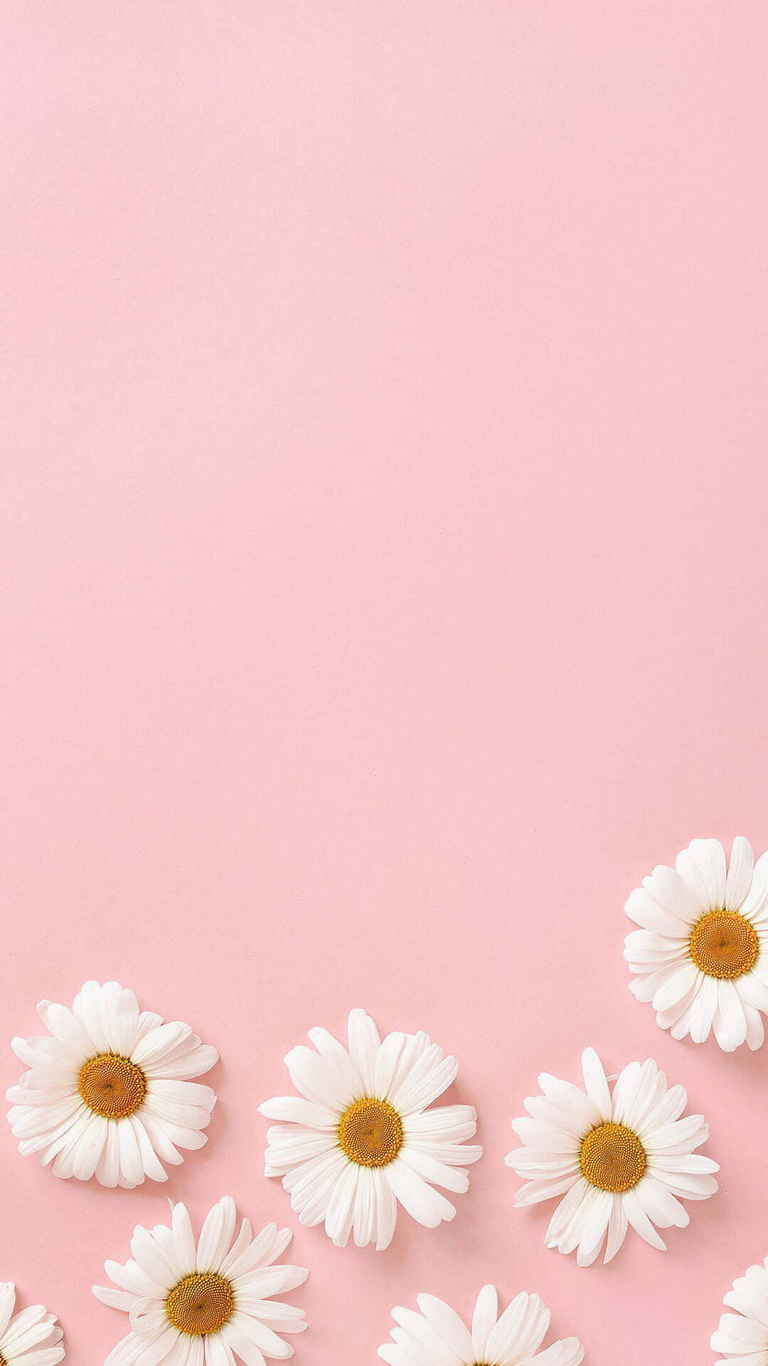 Mandhari ya Asili ya Rangi ya Pink ya Pastel Picha ya Ukuta