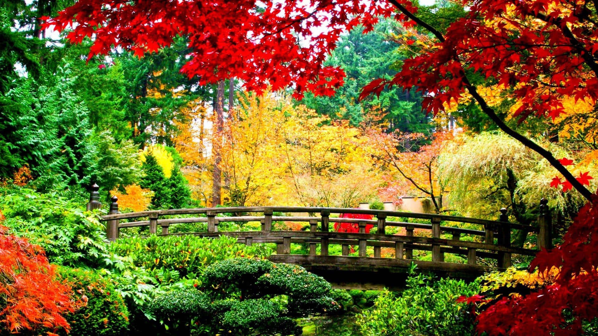 Mandhari ya Daraja la Bustani ya Autumn HD Picha ya Ukuta