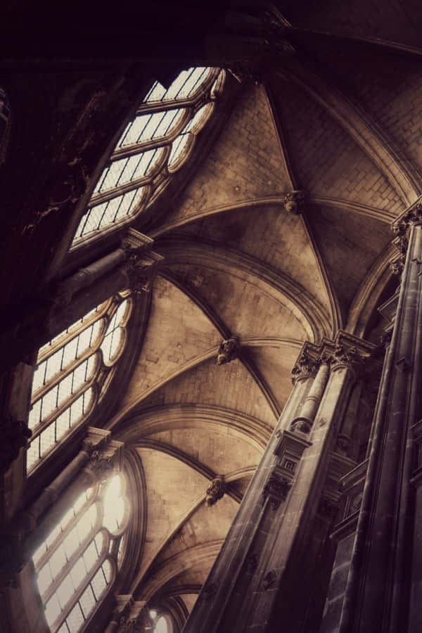 Mandhari ya Dark Academia Picha ya Ukuta
