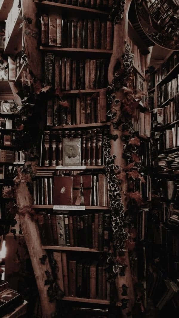 Mandhari ya Dark Academia Picha ya Ukuta