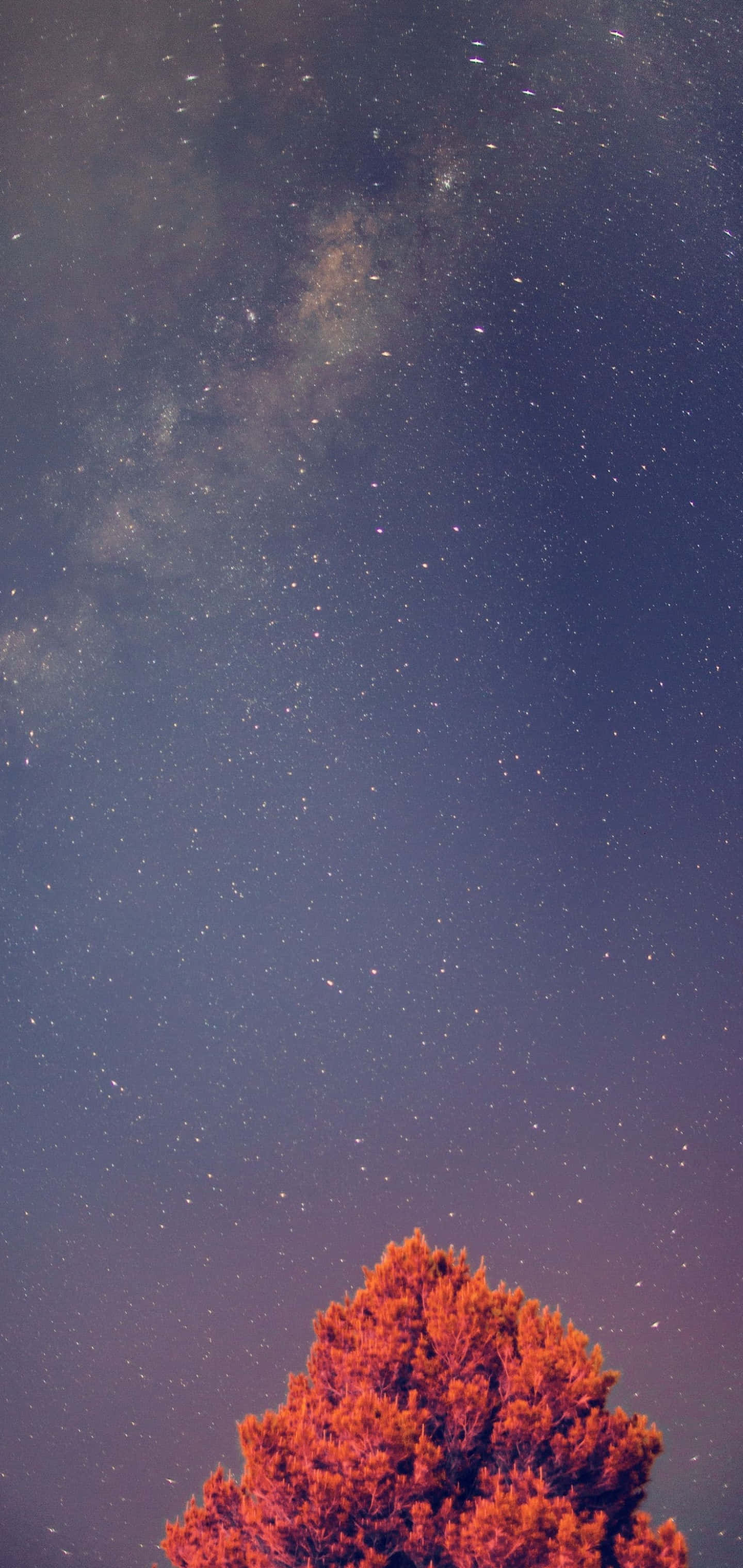 Mandhari ya Galaxy S10 Plus Picha ya Ukuta