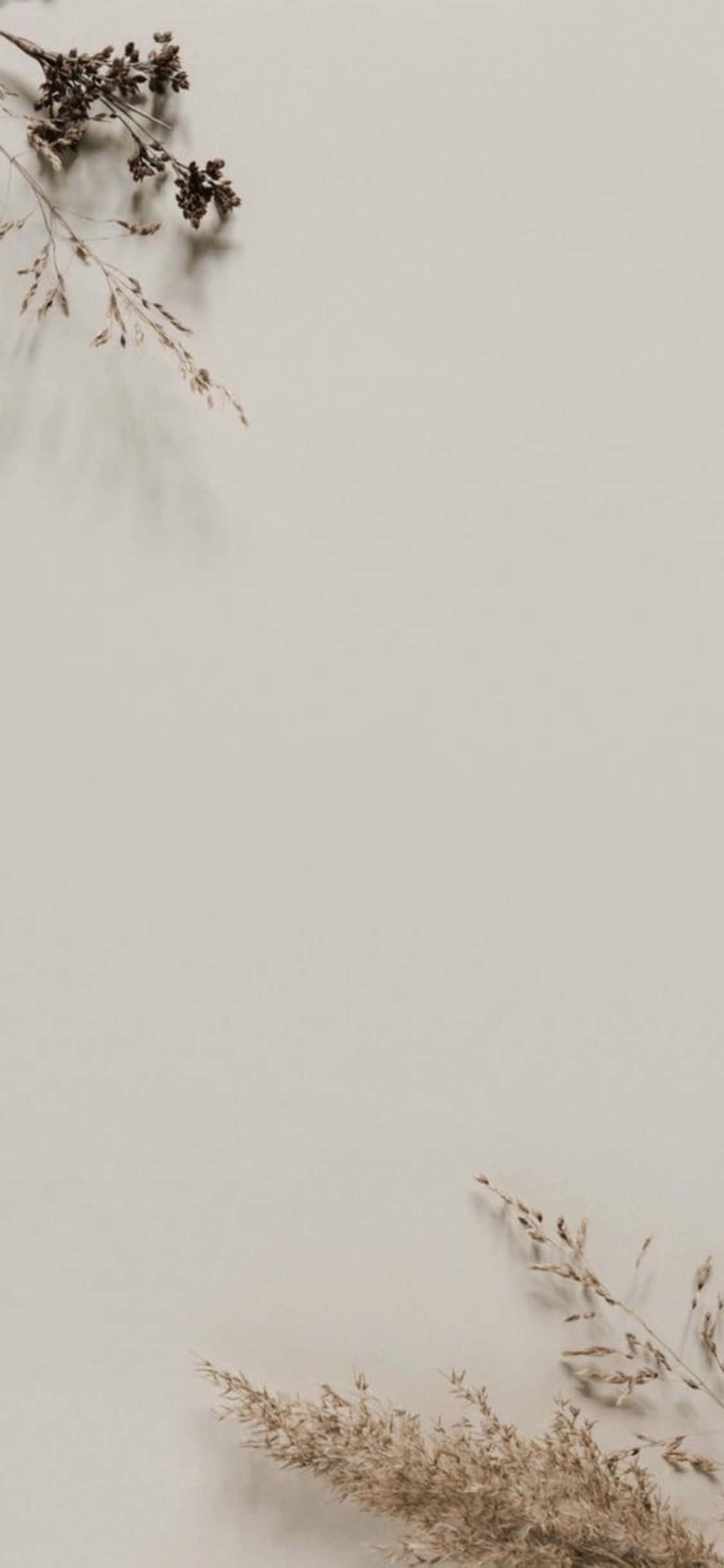iPhone X Minimal Dried Leaves Background Picha ya Ukuta