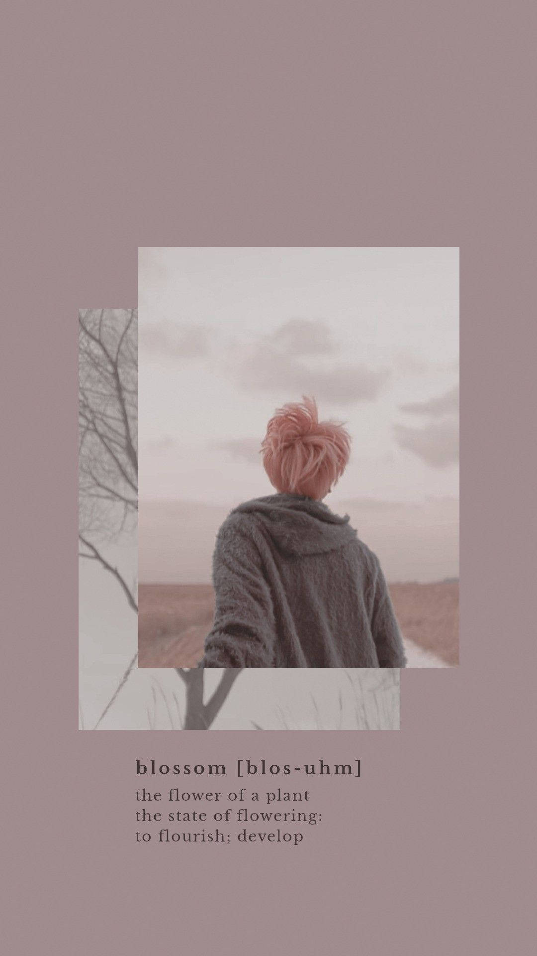 Mandhari ya Jimin wa BTS Maua Picha ya Ukuta