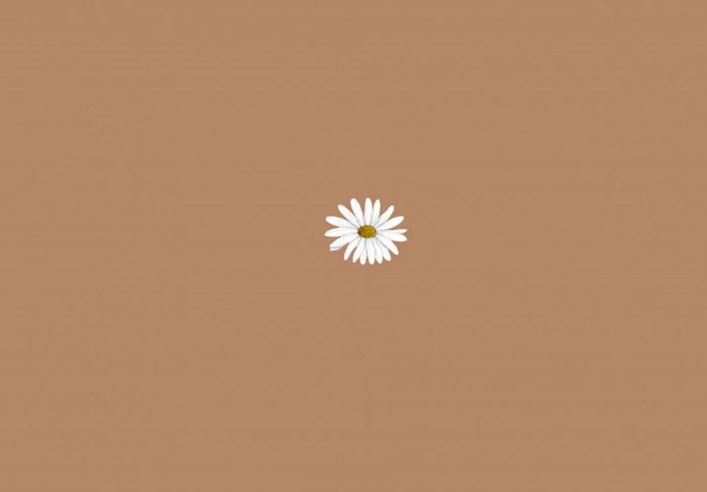 Mandhari ya Kustaajabisha ya Brown ya Mahali pa Kazi yenye Mguso wa Daisy Picha ya Ukuta