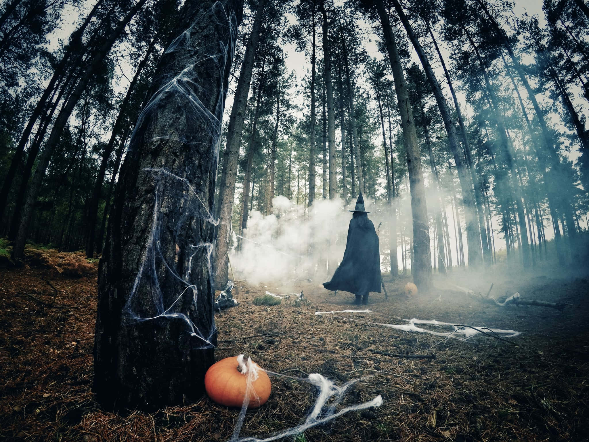 Mandhari ya Kutisha ya Halloween Picha ya Ukuta