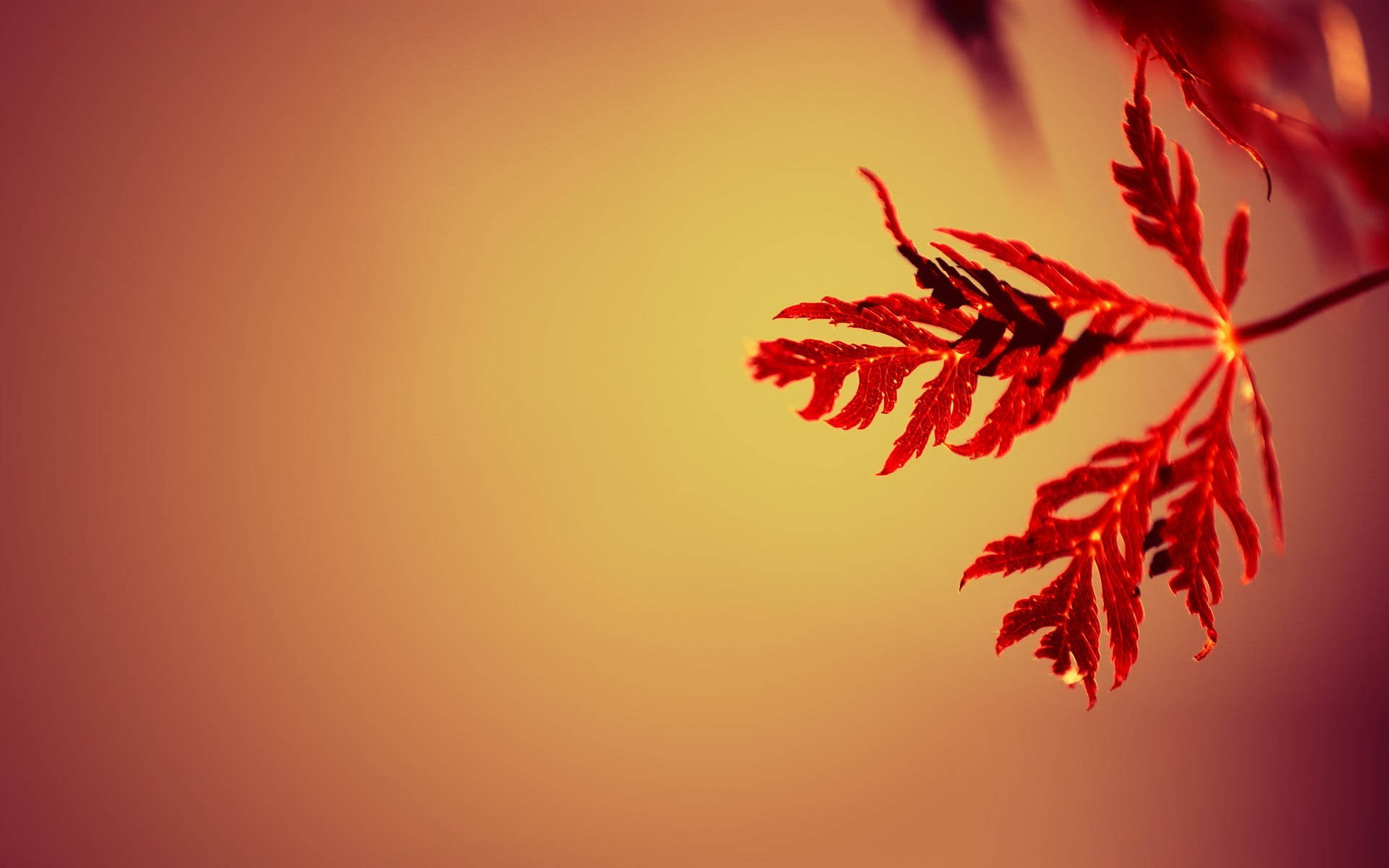 Mandhari ya Kuwa na Mawingu ya Autumn Picha ya Ukuta