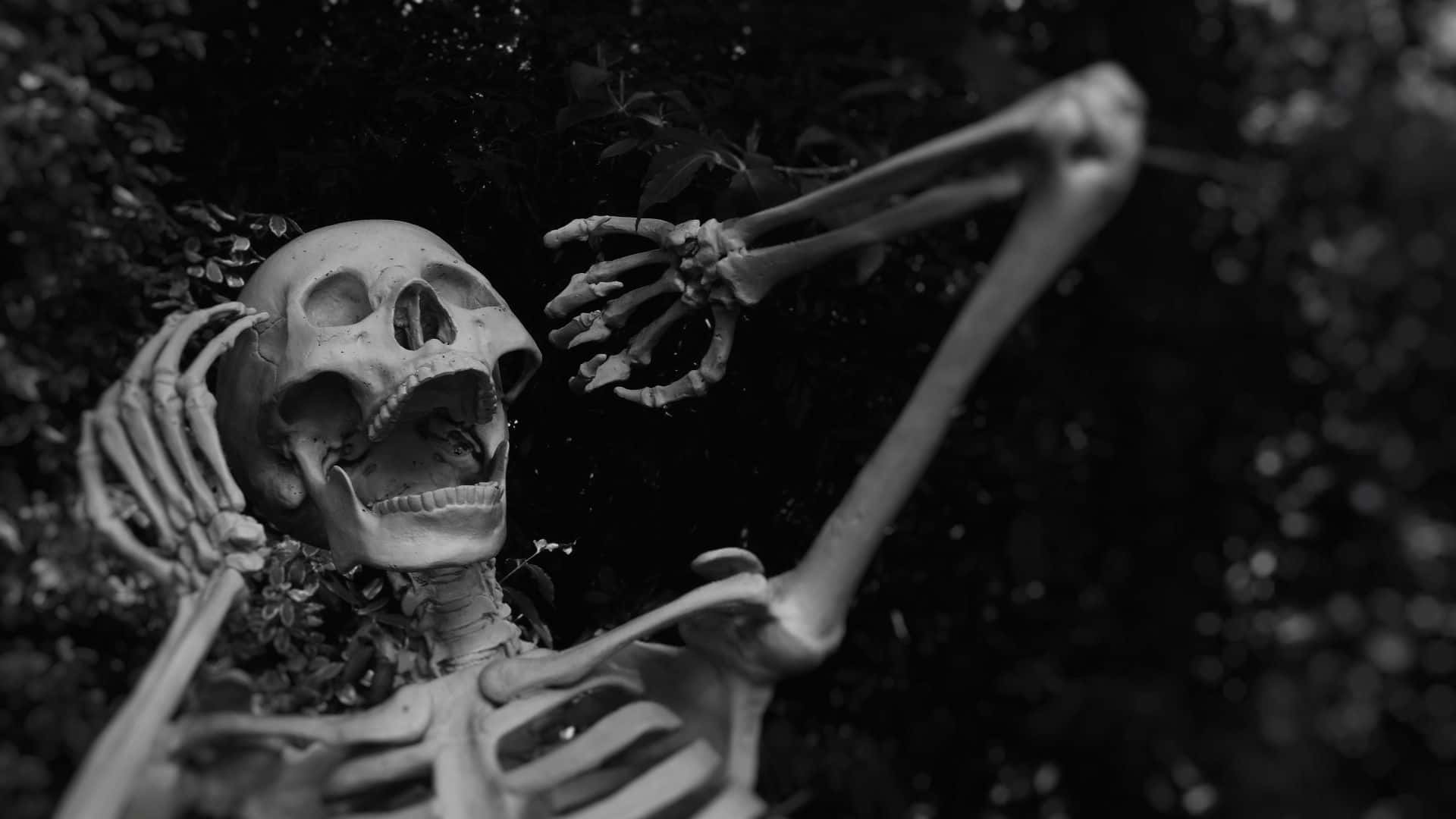 Mandhari ya Kwanzaa ya Halloween Picha ya Ukuta