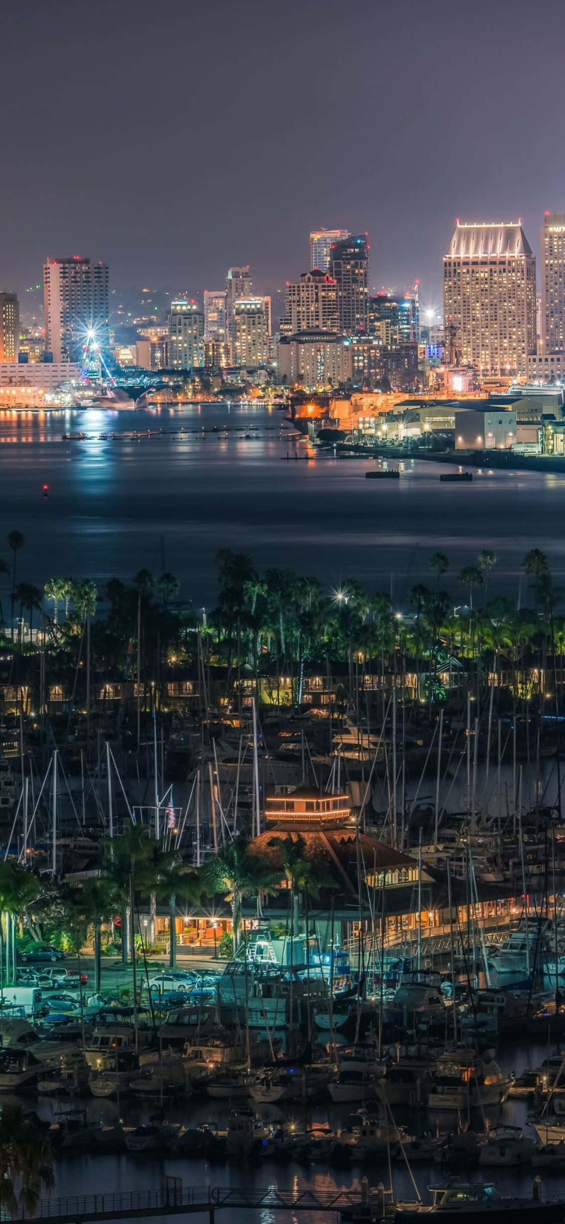 mandhari ya mji wa San Diego usiku Picha ya Ukuta