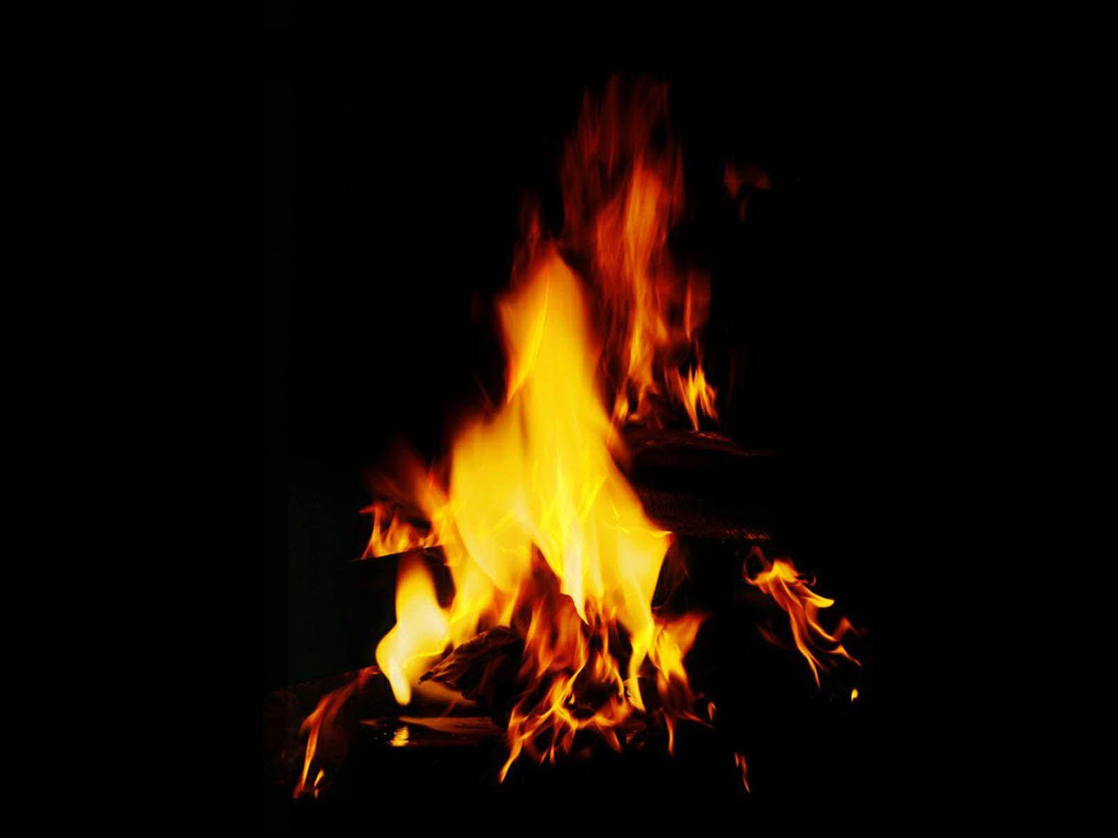 Mandhari ya Moto wa Bonfire wa Kupendeza Picha ya Ukuta