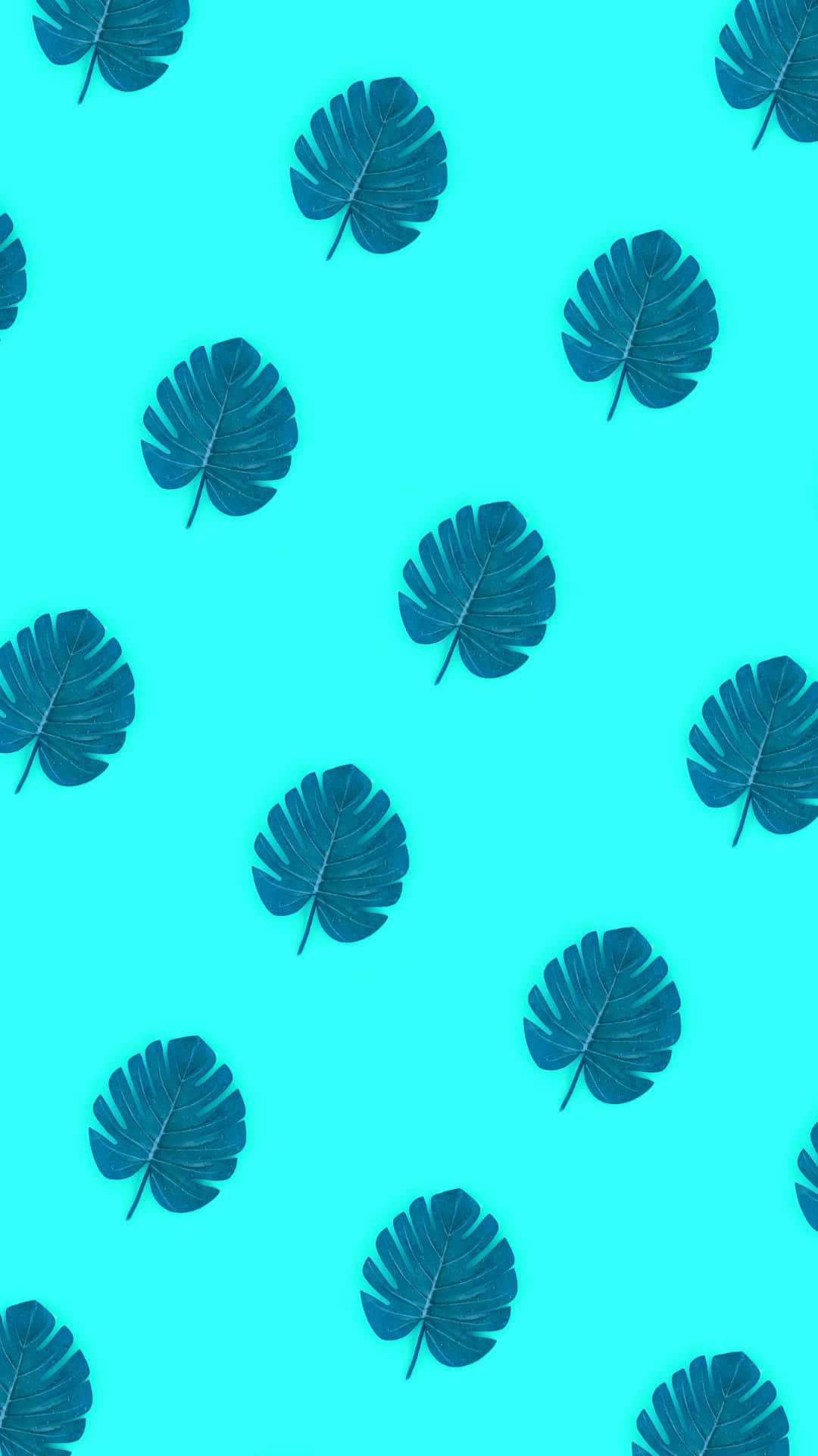 Mandhari ya Muundo wa Majani ya Monstera ya VSCO Picha ya Ukuta