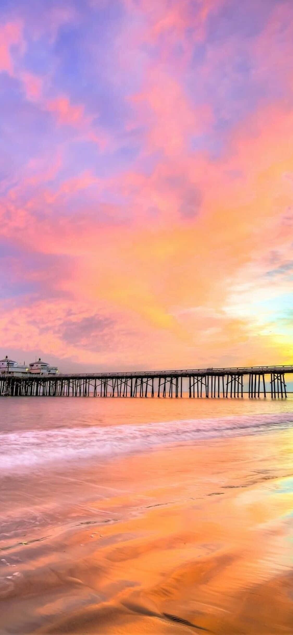 Mandhari ya mwiba na miti ya California kwa iPhone X Picha ya Ukuta