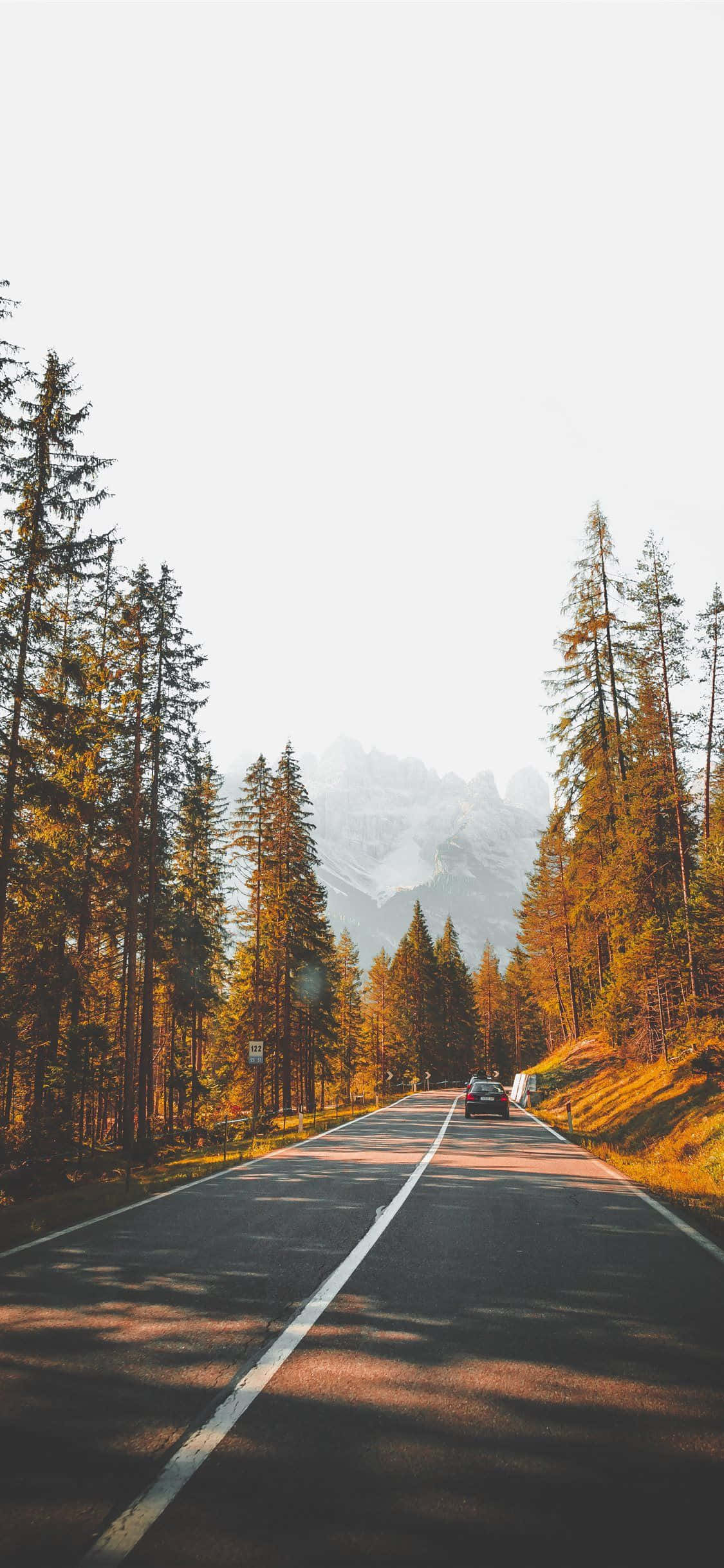 Aesthetic Autumn Road Outside Background Picha ya Ukuta