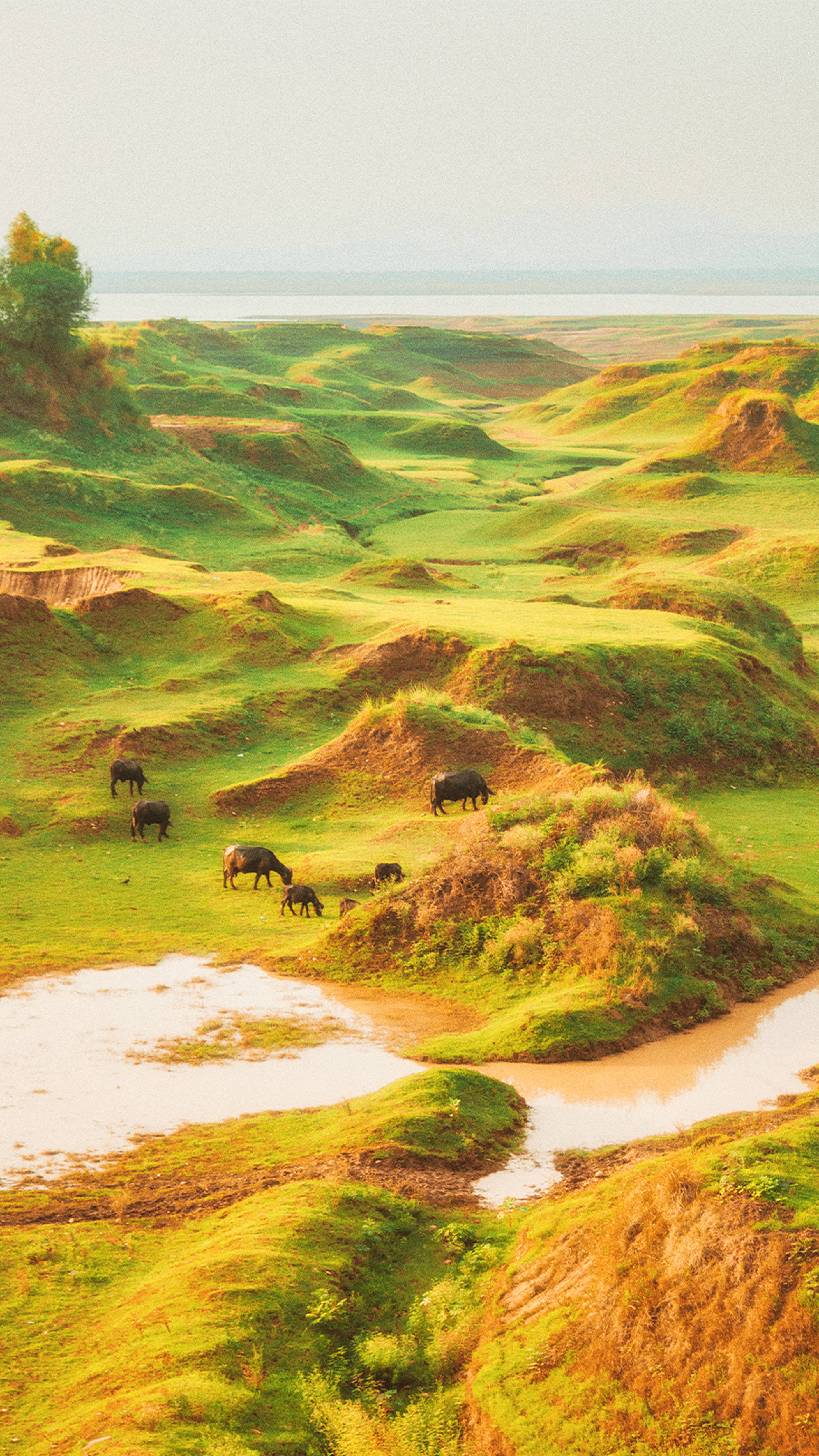 Mandhari ya Plateau ya Cottagecore Picha ya Ukuta