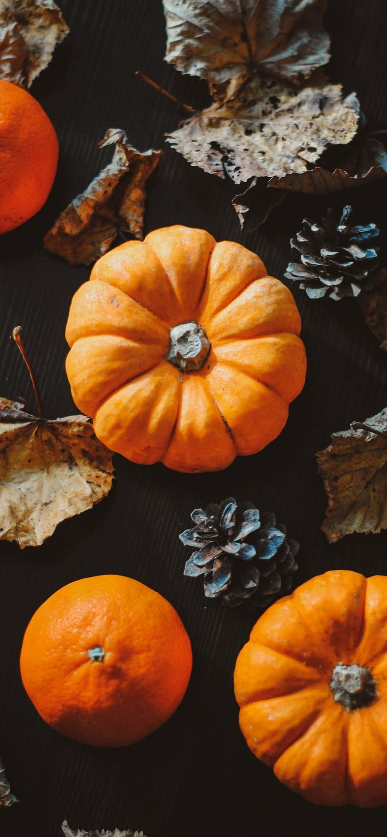 Mandhari ya Simu ya Halloween yenye Mwezi wa Kutisha Picha ya Ukuta