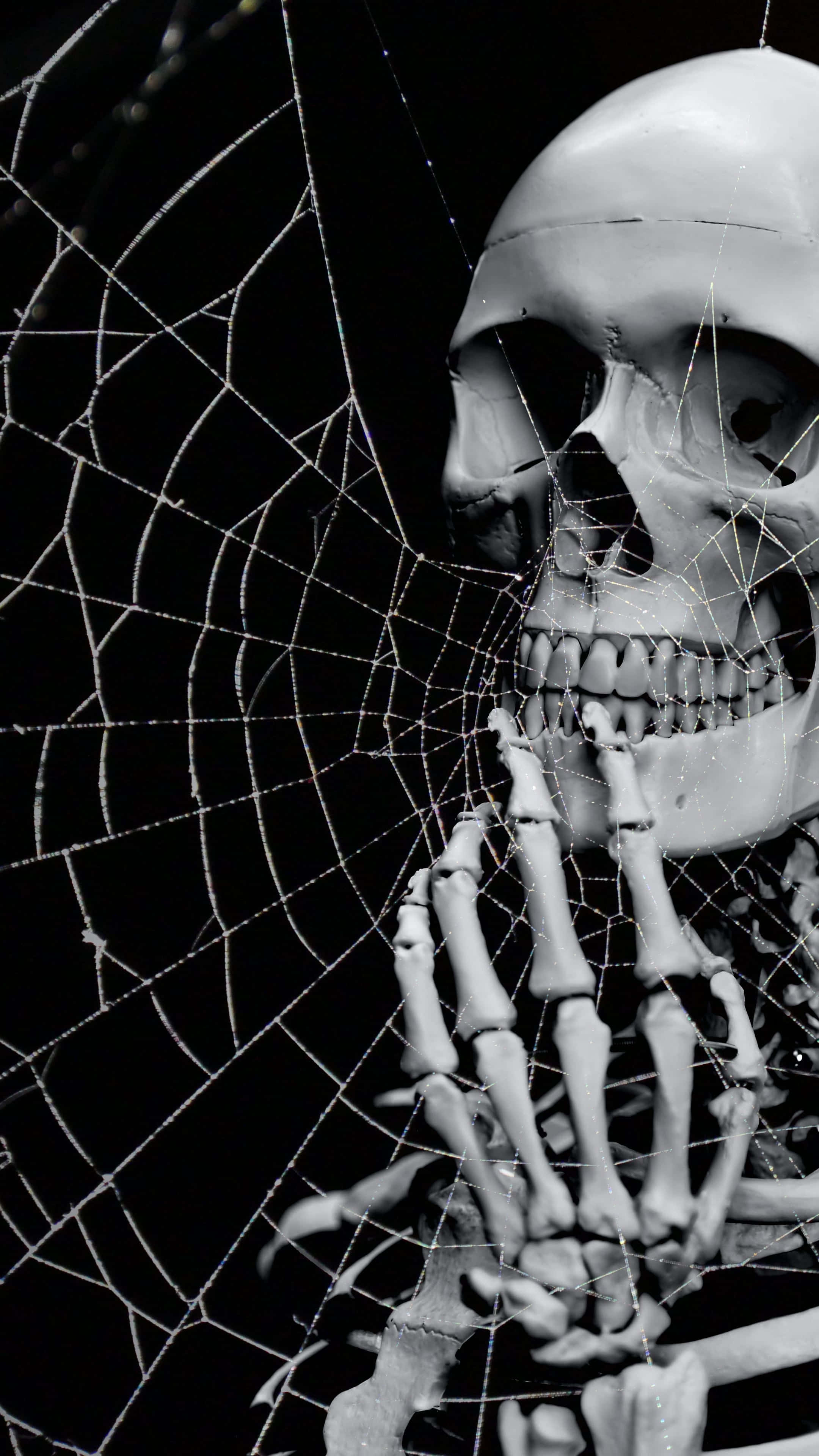 Mandharinyuma ya Halloween 2160 x 3840 Picha ya Ukuta