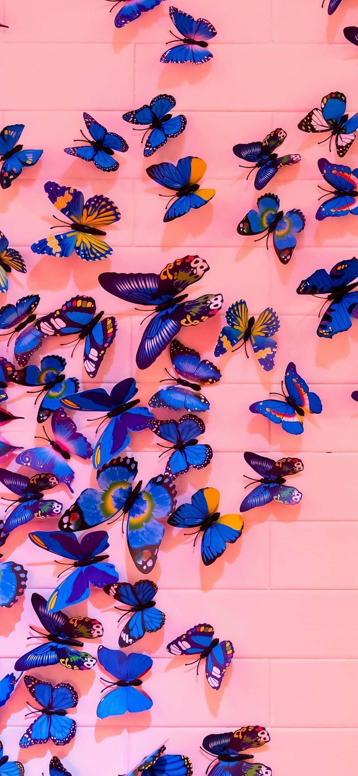 Mandharinyuma ya Kipepeo Maridadi Picha ya Ukuta
