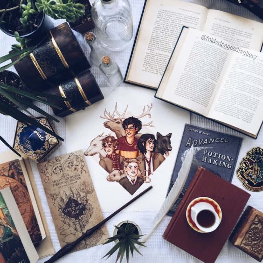Maonyesho ya Dirisha ya Kuvutia ya Vitu vya Harry Potter Picha ya Ukuta