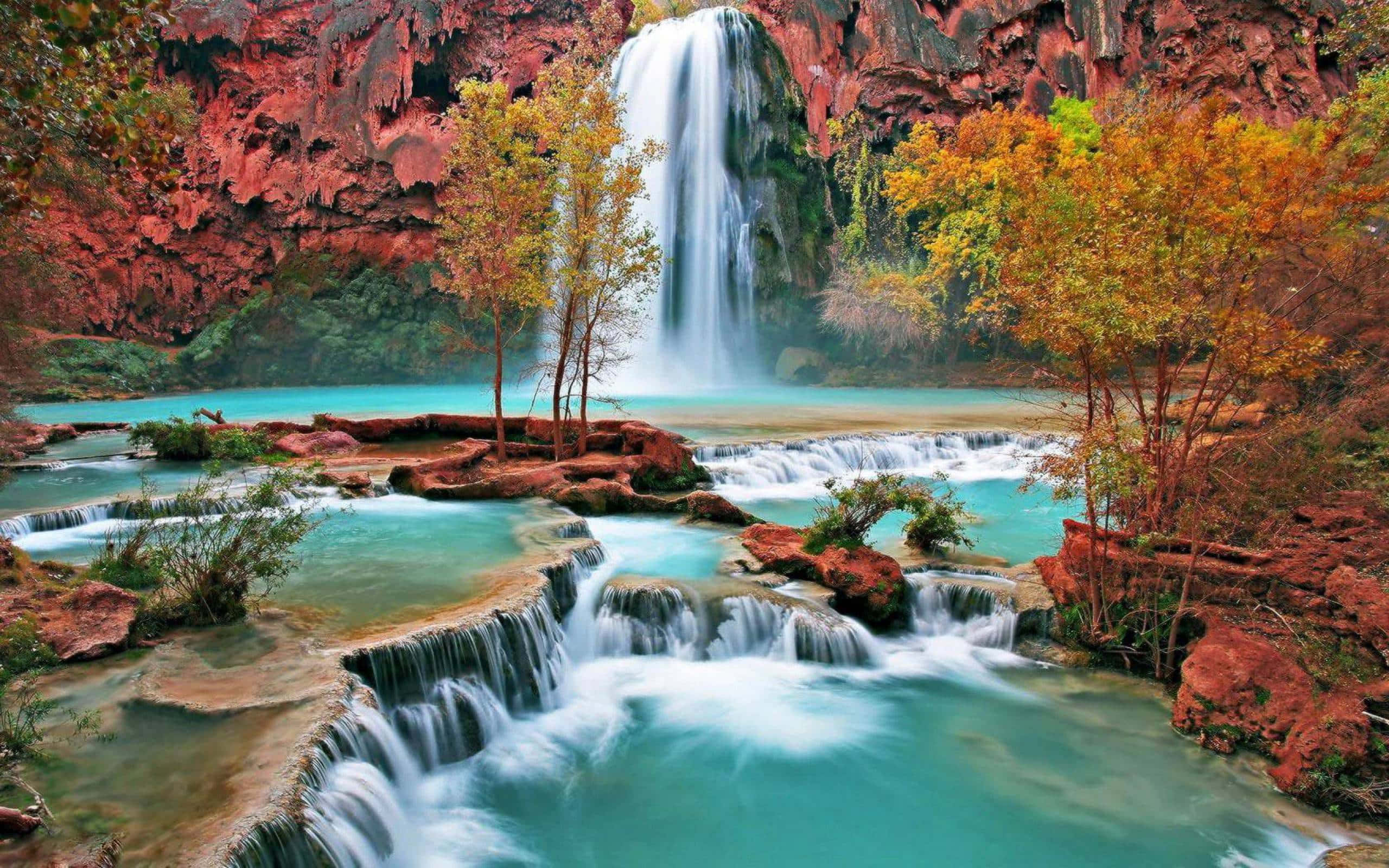Maporomoko ya Maji ya Havasu Falls Kompyuta ya Mezani Arizona Picha ya Ukuta