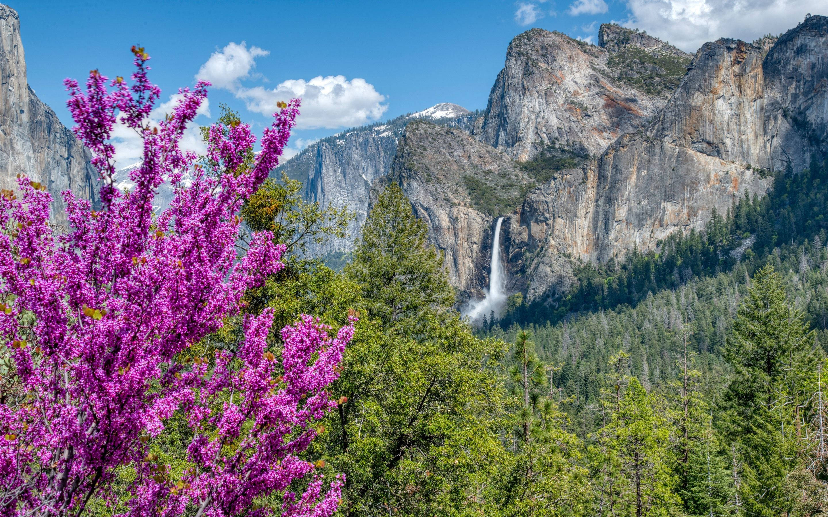 Maporomoko ya Maji Mazuri Yosemite Picha ya Ukuta