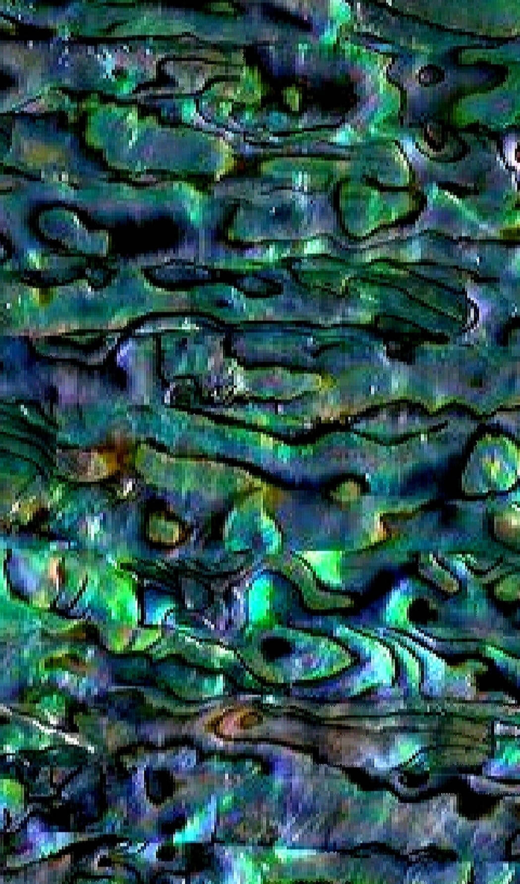 Maumbo ya Rangi ya Ganda la Abalone Picha ya Ukuta