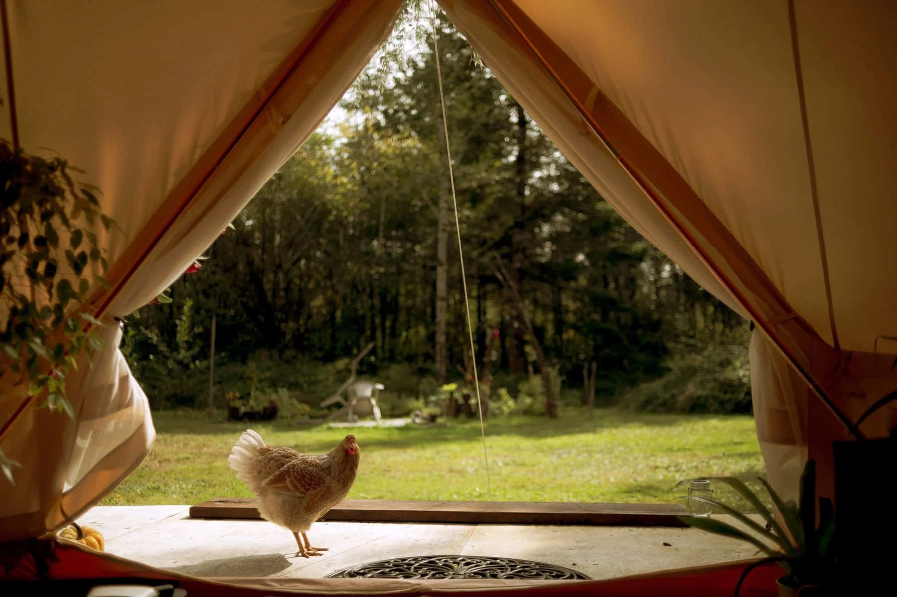 Mazingira ya Cottagecore ya Ndoto na Mandhari ya Idyllic Picha ya Ukuta
