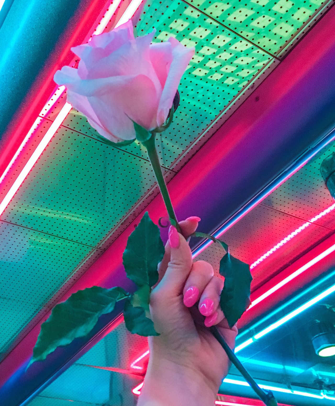 Mazingira ya rangi ya Neon Aesthetic Picha ya Ukuta