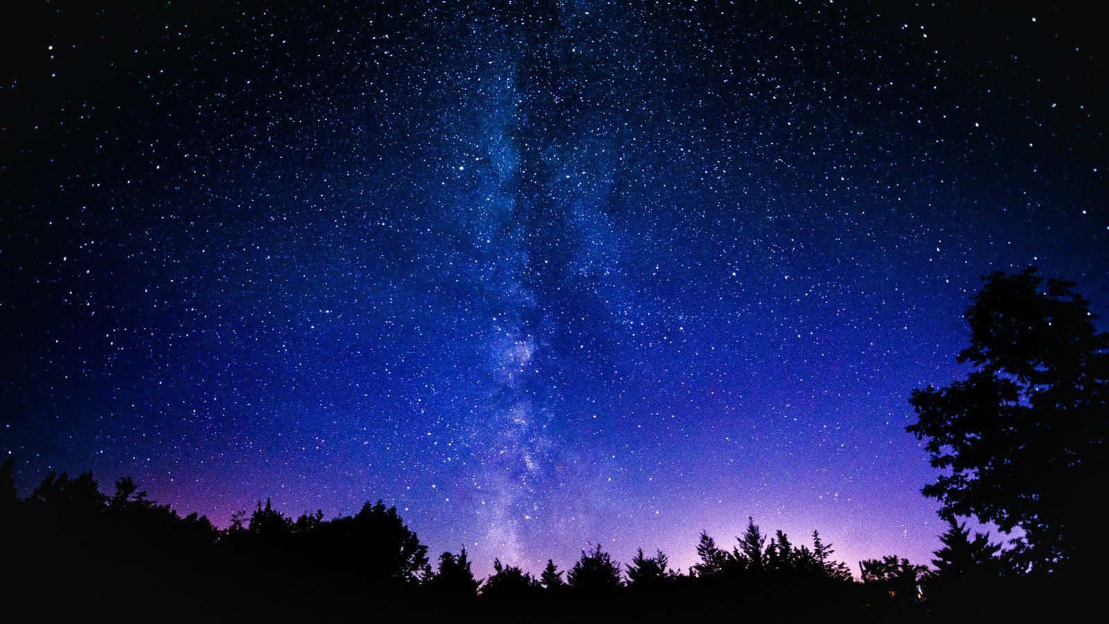Mbingu ya Galaxy na Vichaka na Miti Picha ya Ukuta