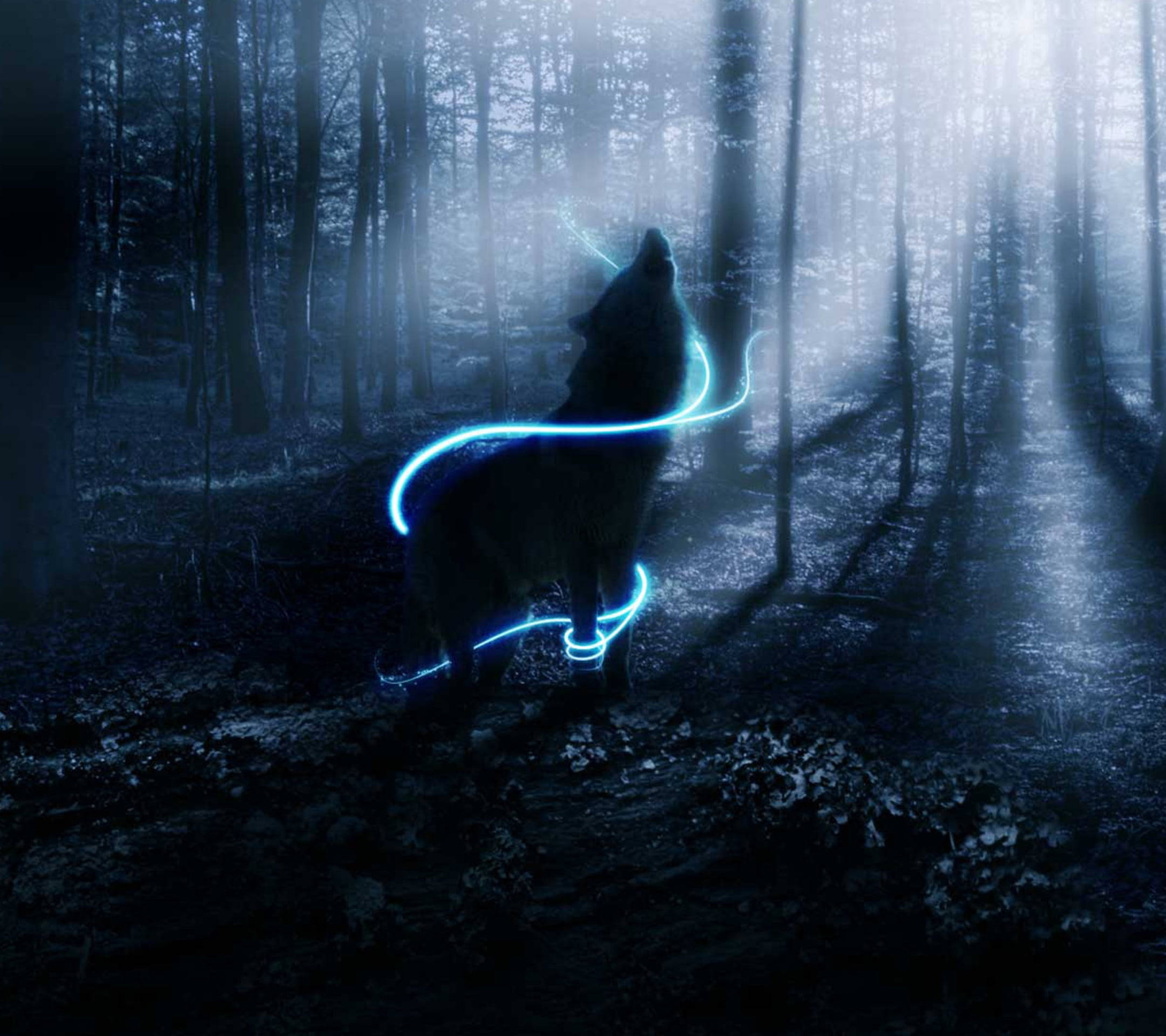 Mbwa Mwitu wa Anime wa Bluu ya Neon katika Msitu wa Kiroho Picha ya Ukuta