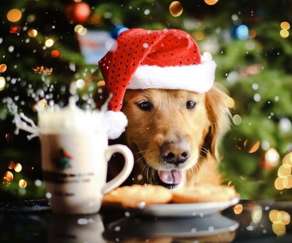 Mbwa wa Krismasi Akiwa na Kuki na Egg Nog Picha ya Ukuta