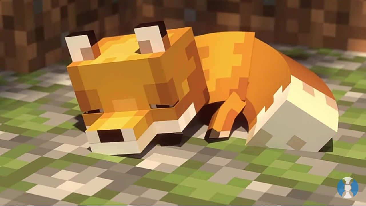 Mbweha Mzuri wa Minecraft Akiwa Amelala Picha ya Ukuta