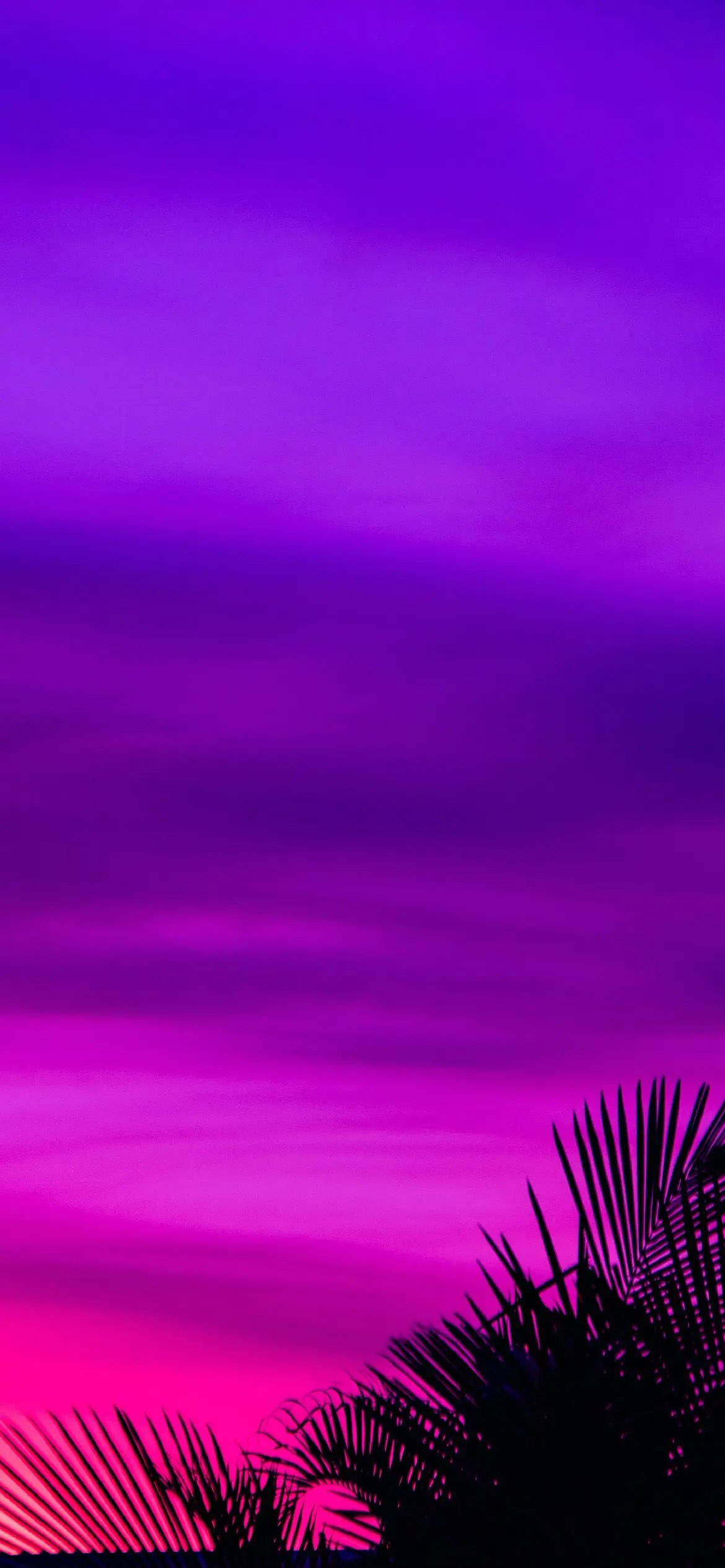 Mchanganyiko wa Rangi za Sunset na Mti wa Kifaransa kwa Simu Picha ya Ukuta
