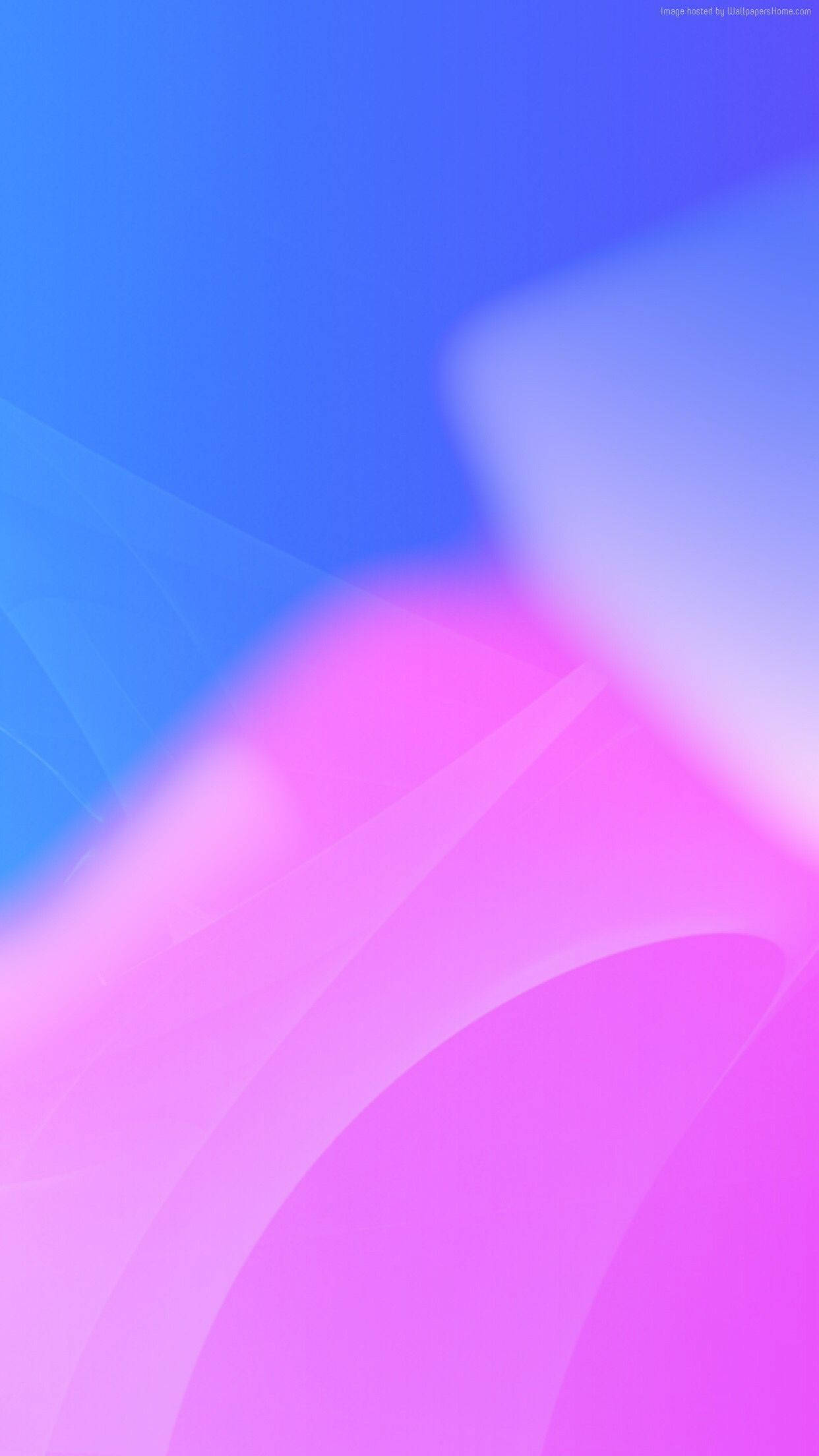 Mchanganyiko wa Kuvutia wa Vipepeo vya Pink na Bluu Picha ya Ukuta