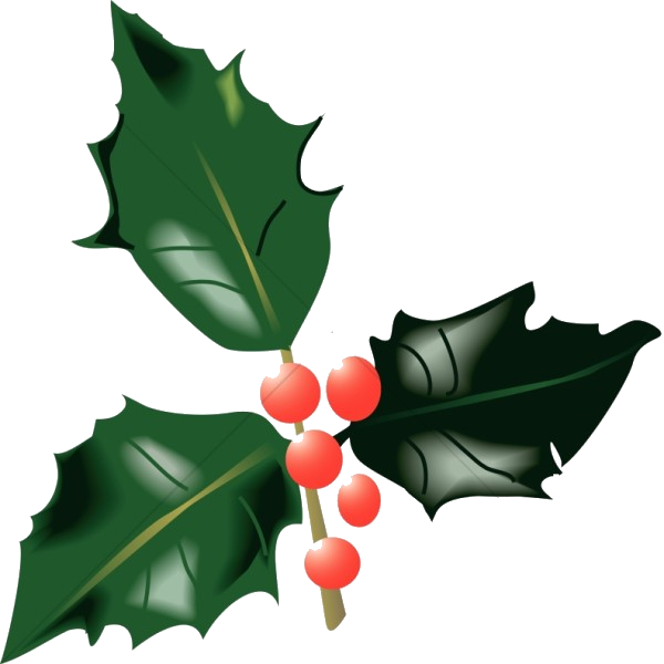 Mchoro wa Beri za Holly Picha ya Ukuta