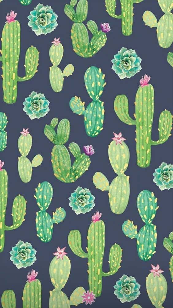 Mchoro wa Cactus kwa iPhone Picha ya Ukuta