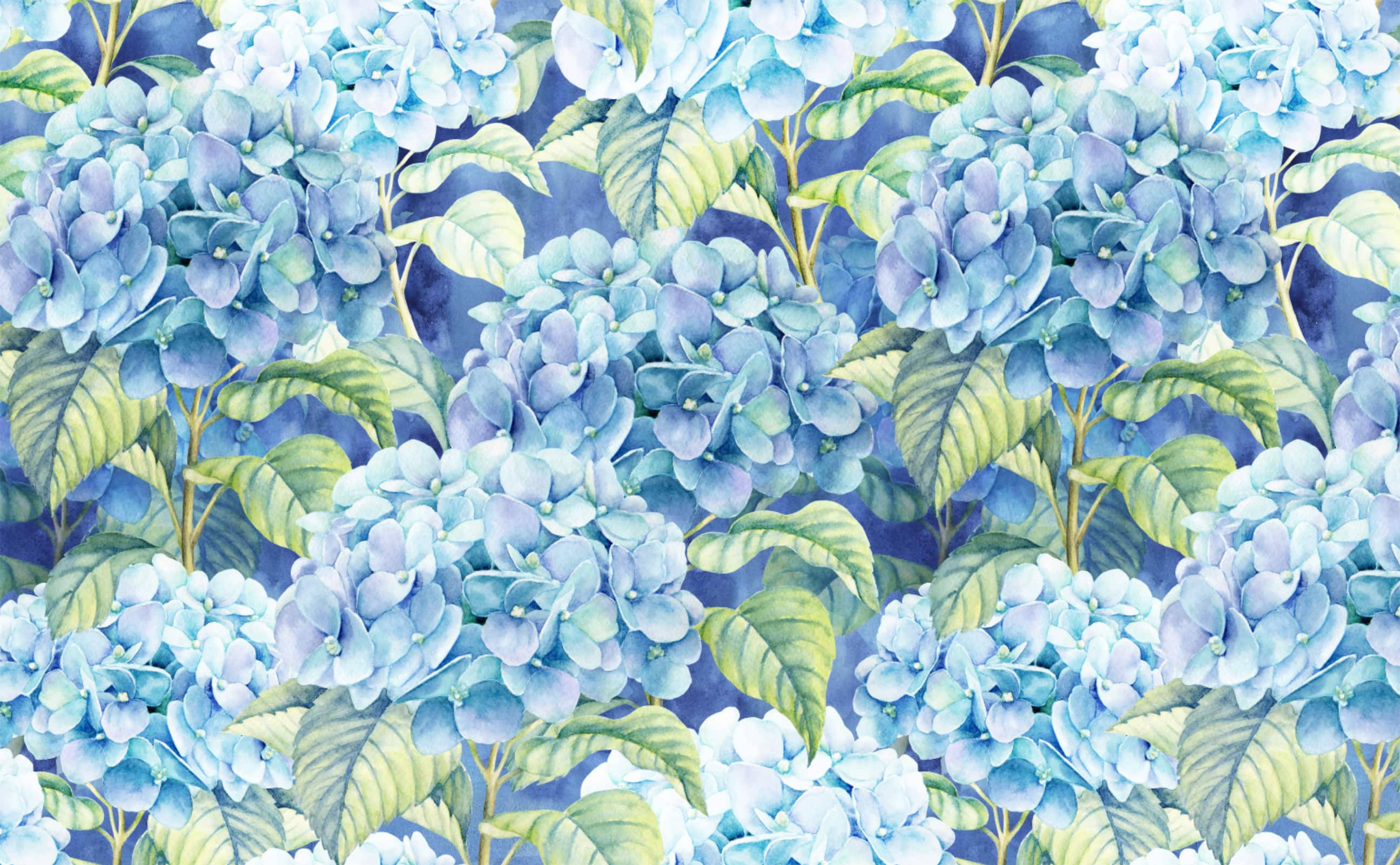 Mchoro wa Maua ya Hydrangea ya Buluu Mwepesi Picha ya Ukuta